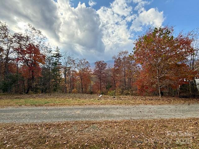 000 Mt. Mitchell Drive Property Photo 28