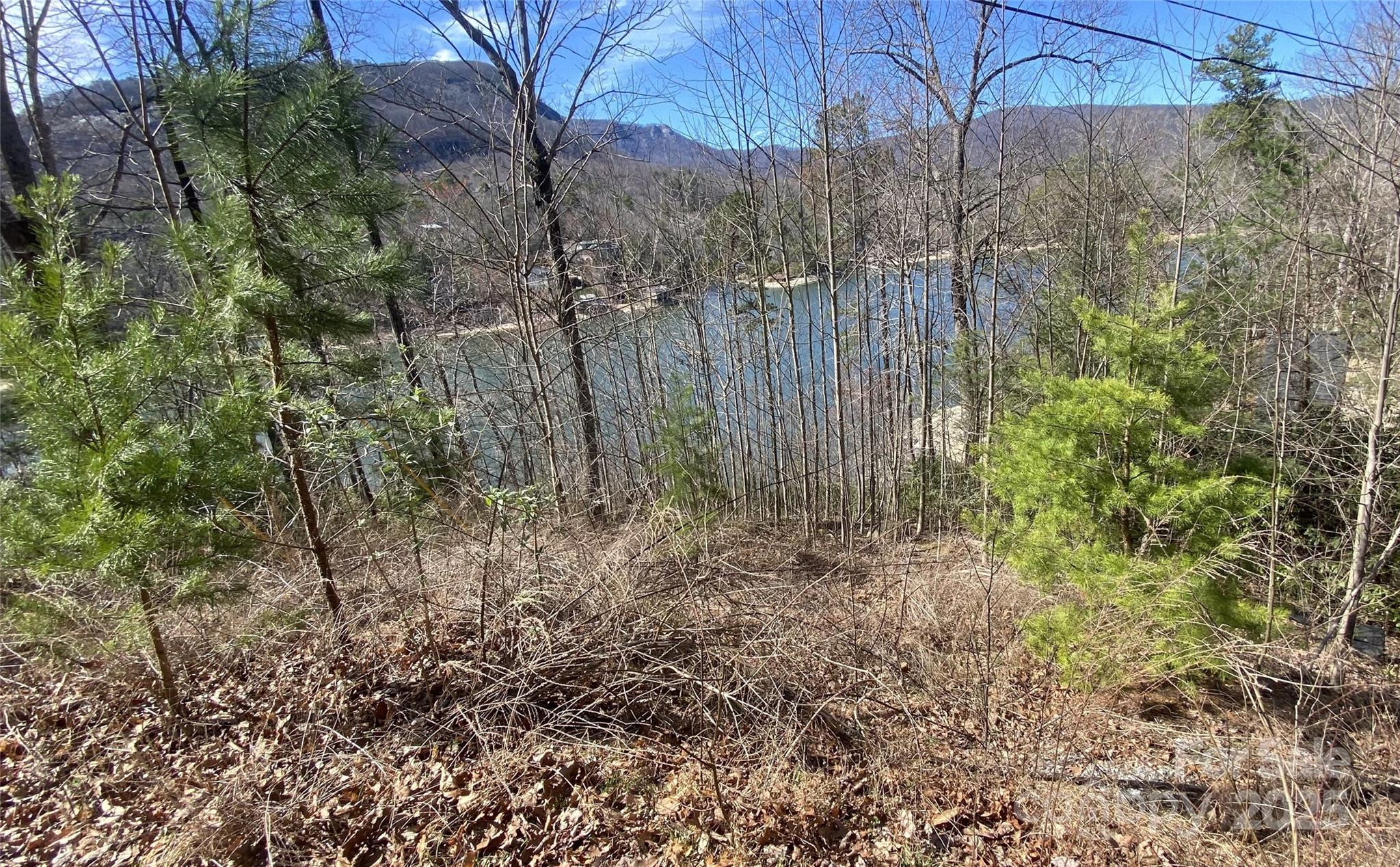 0 Buffalo Shoals Road 18 Property Photo 11