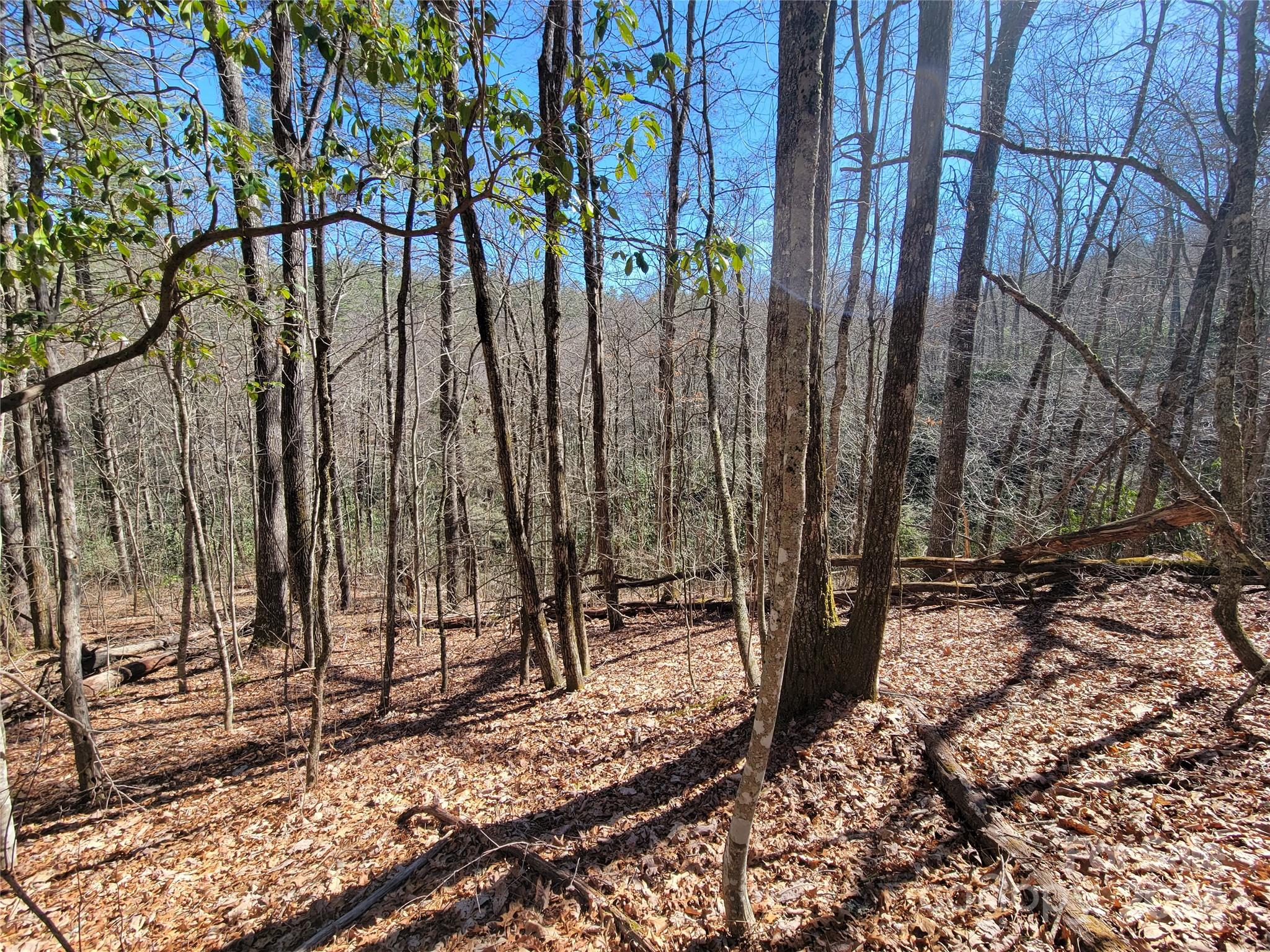 20 Hummingbird Trail F-2 Property Photo 1