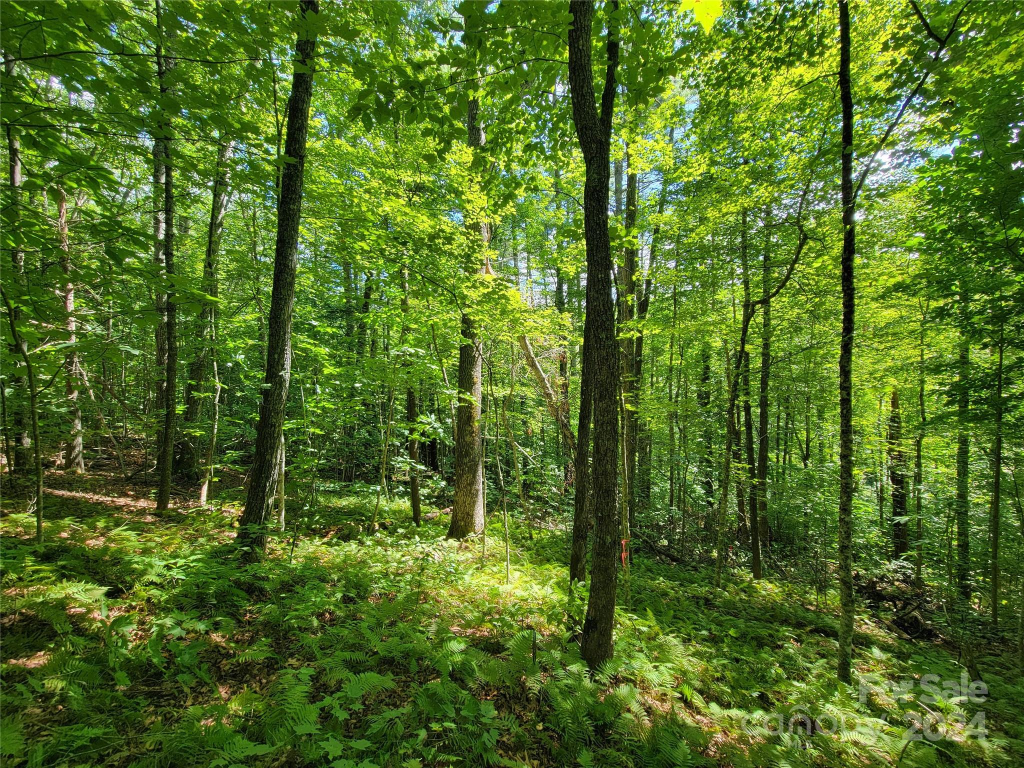 20 Hummingbird Trail F-2 Property Photo 3