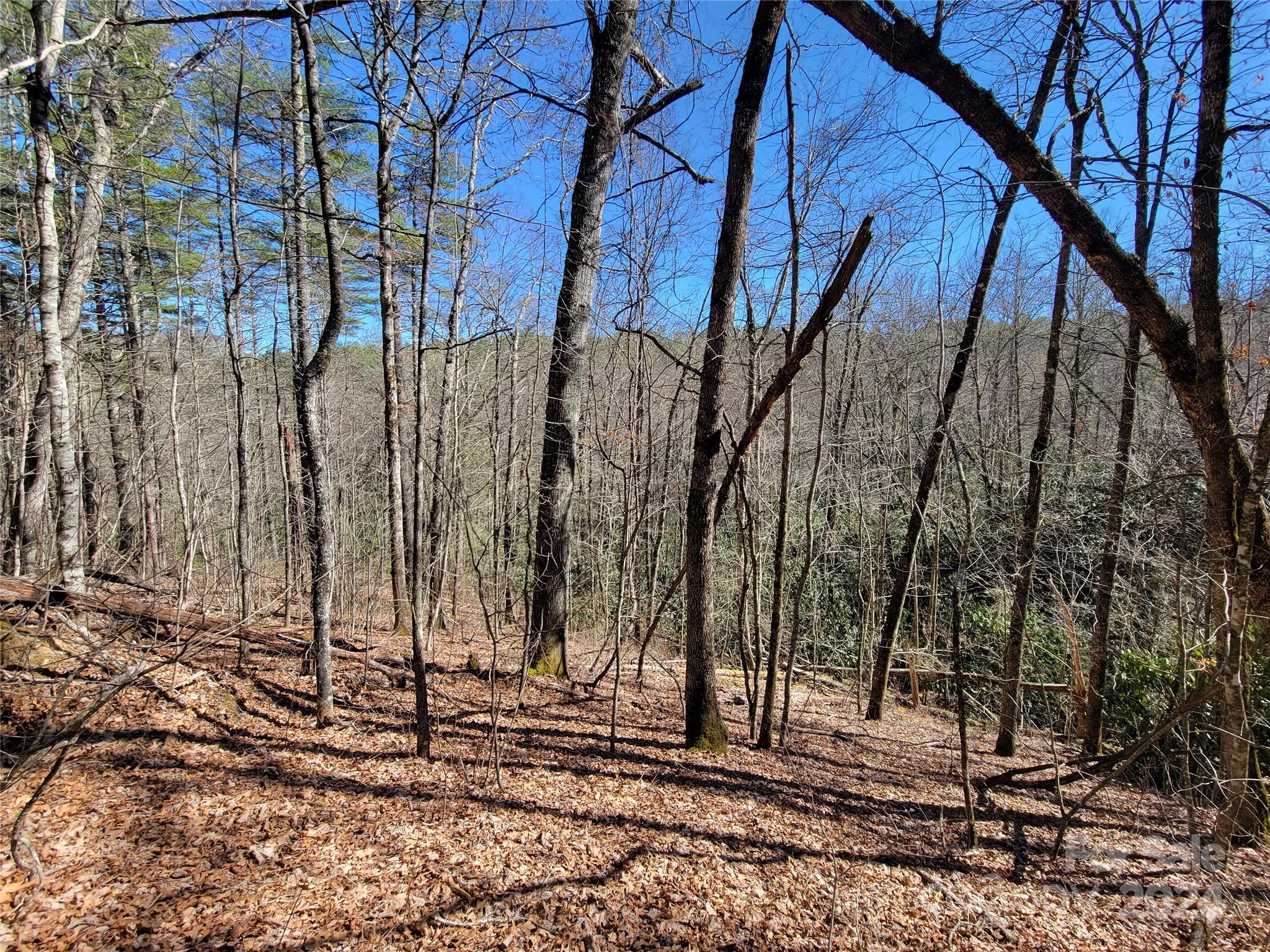 20 Hummingbird Trail F-2 Property Photo 9
