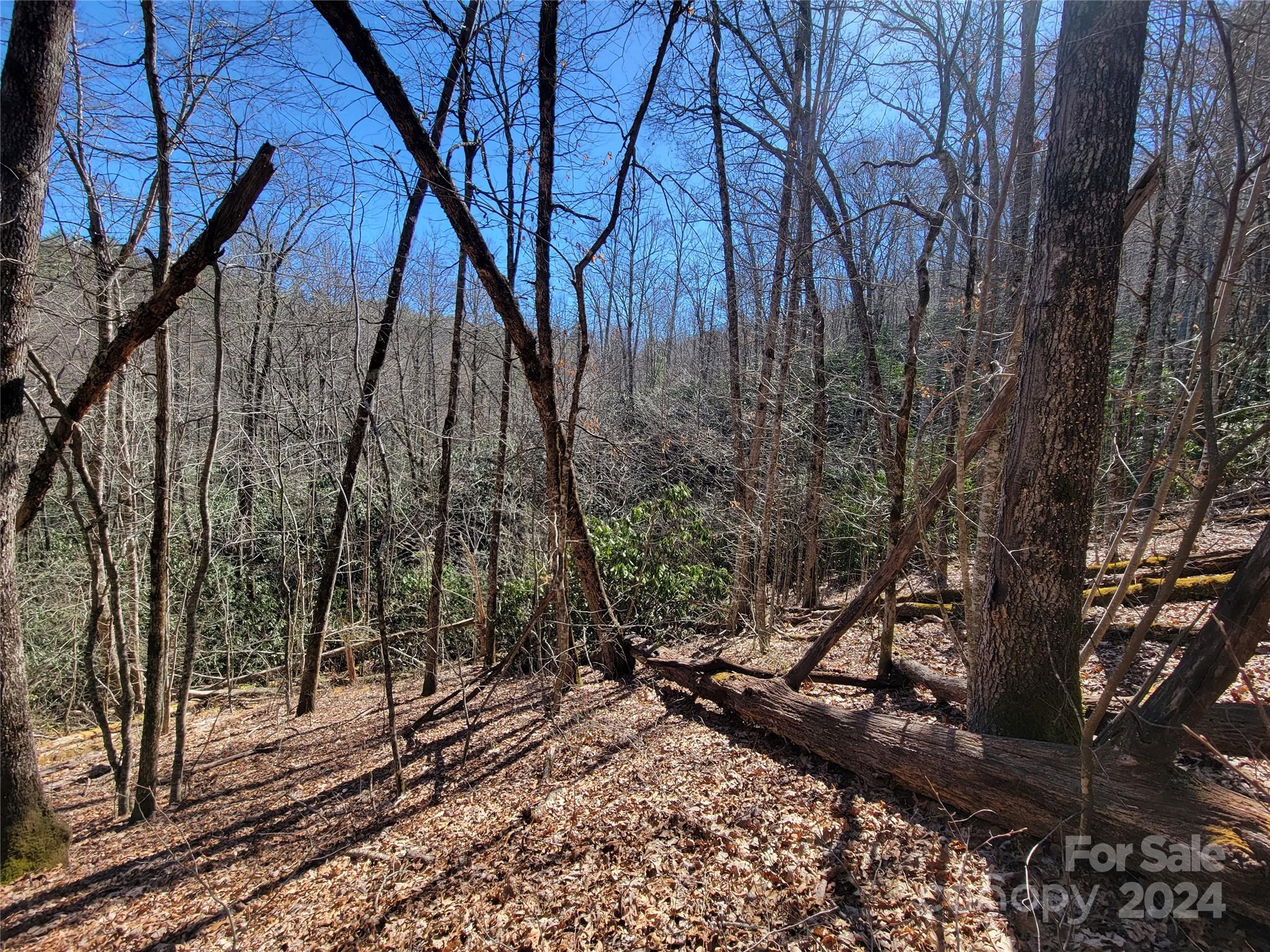 20 Hummingbird Trail F-2 Property Photo 11