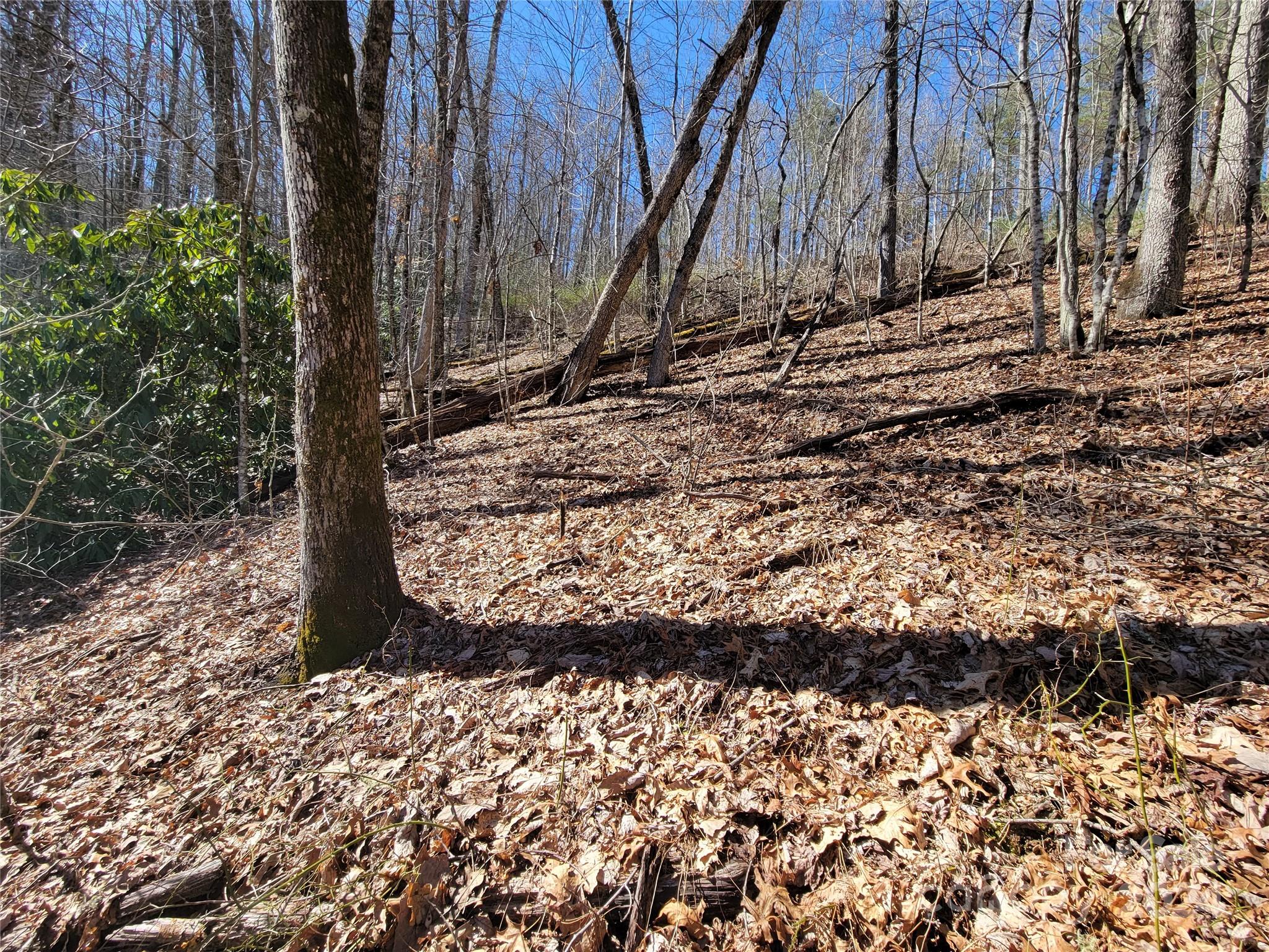 20 Hummingbird Trail F-2 Property Photo 13