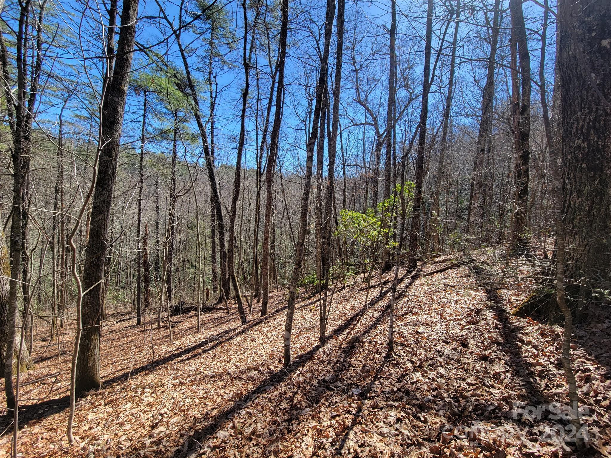 20 Hummingbird Trail F-2 Property Photo 14