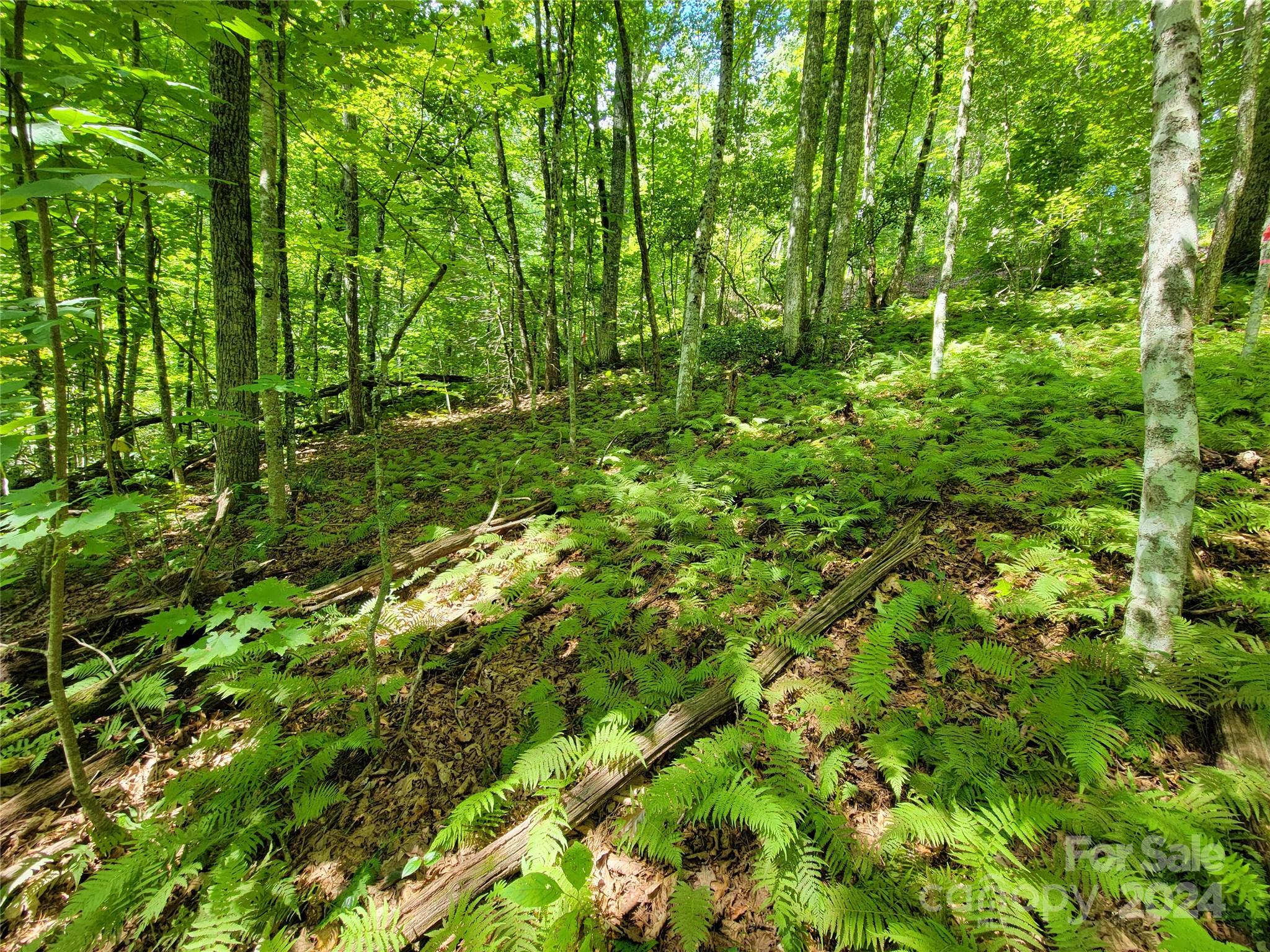 20 Hummingbird Trail F-2 Property Photo 16