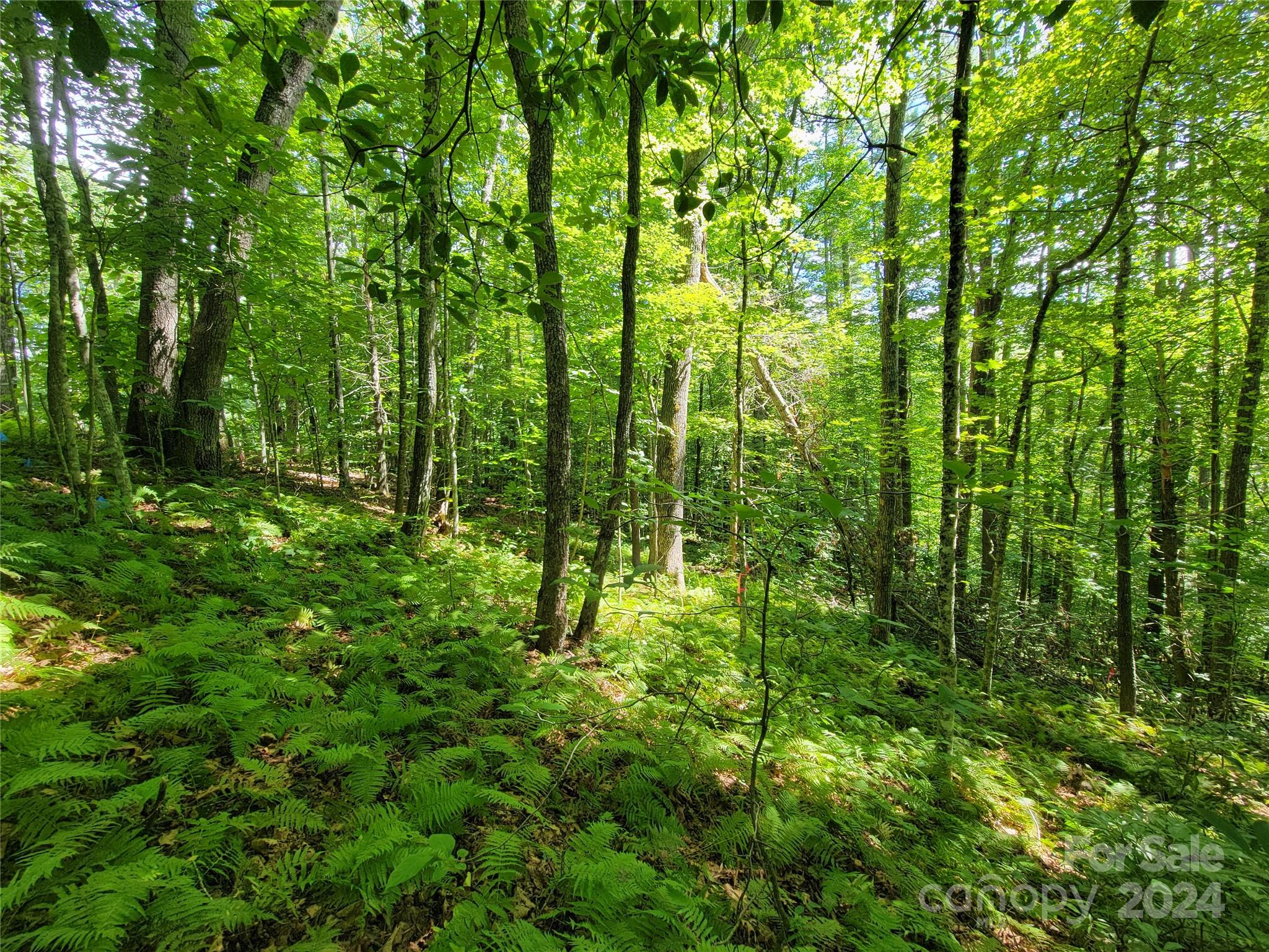 20 Hummingbird Trail F-2 Property Photo 20