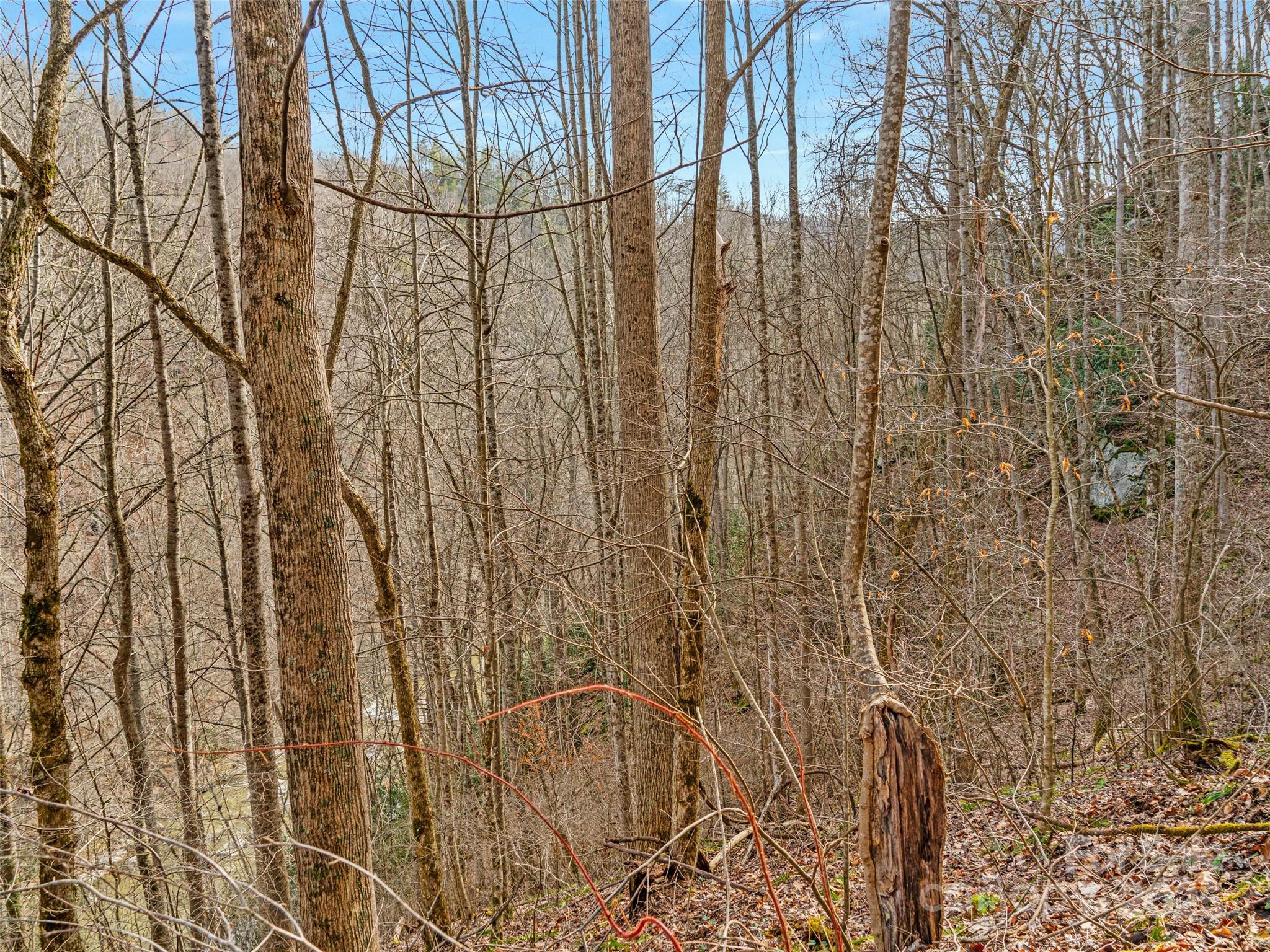 0 Sugarloaf Mountain Estates 3, 21 & 32 Property Photo 2