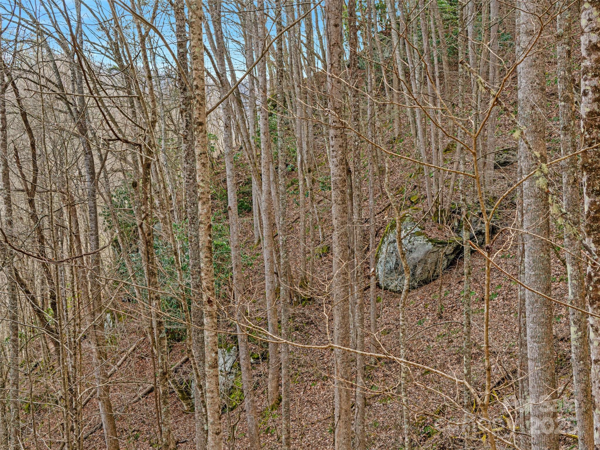 0 Sugarloaf Mountain Estates 3, 21 & 32 Property Photo 3