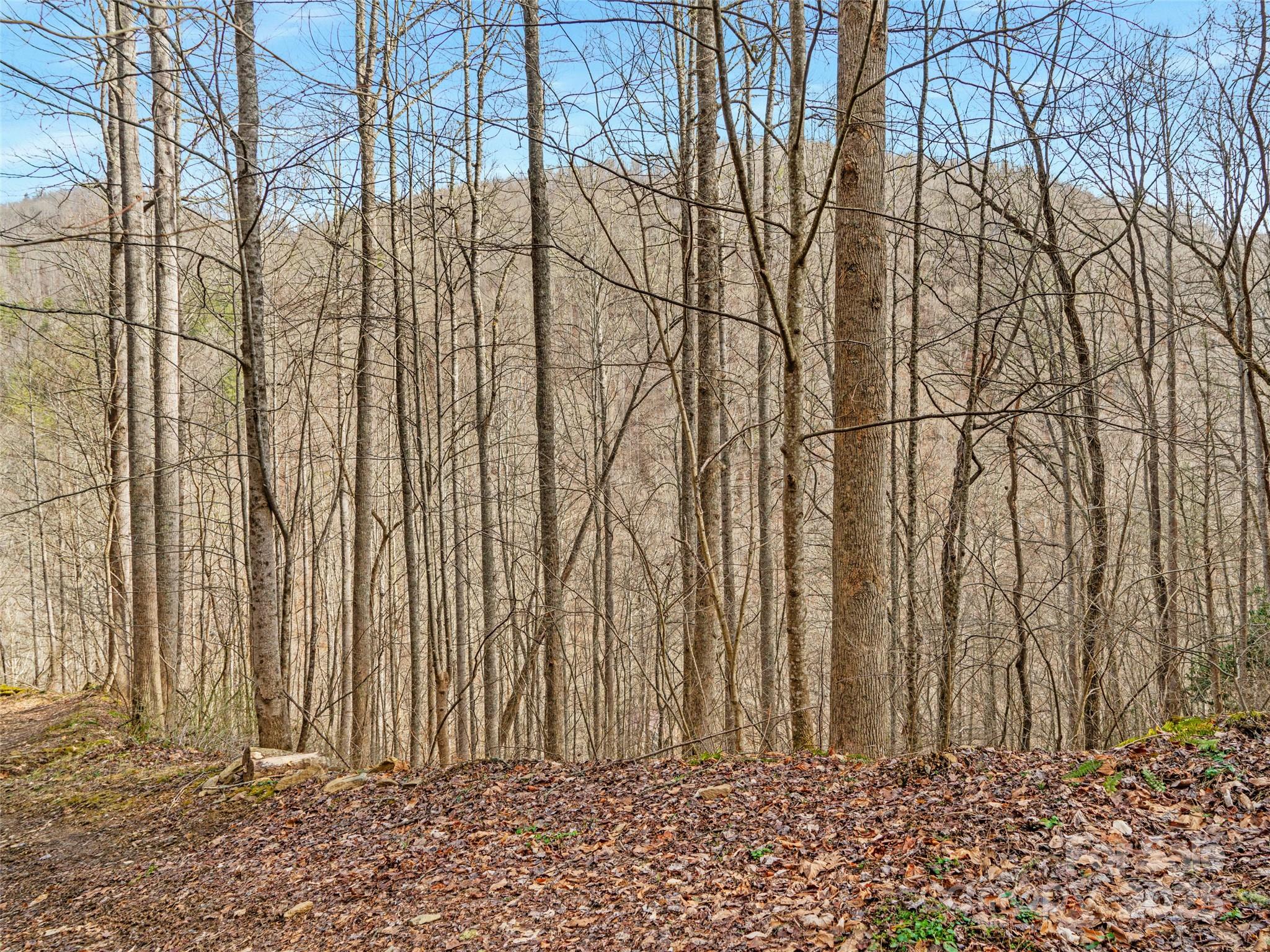 0 Sugarloaf Mountain Estates 3, 21 & 32 Property Photo 4