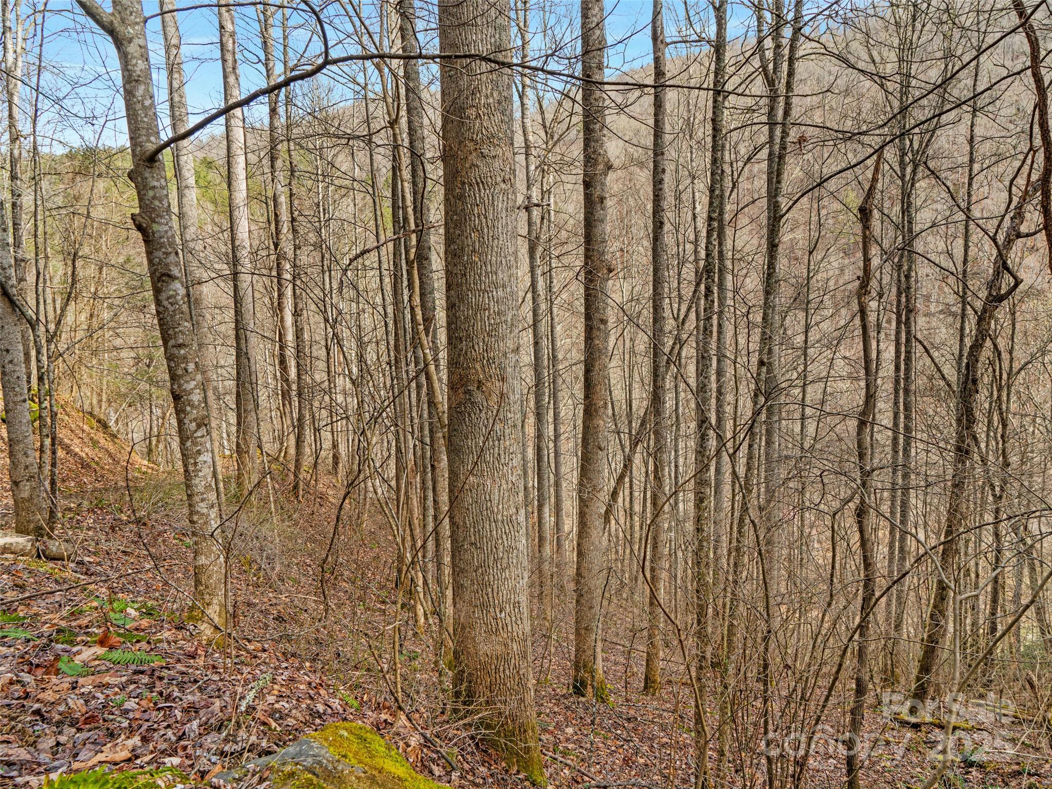 0 Sugarloaf Mountain Estates 3, 21 & 32 Property Photo 5