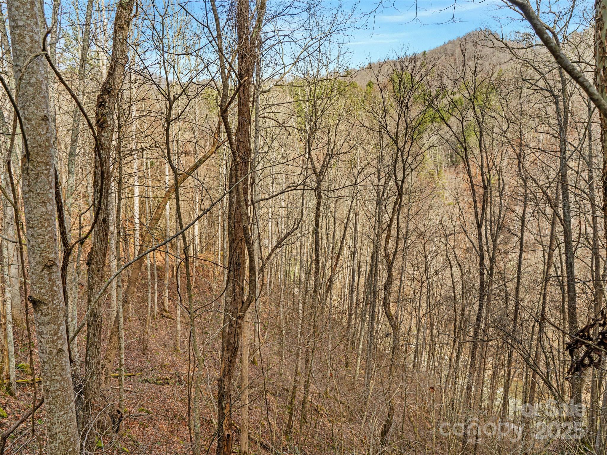 0 Sugarloaf Mountain Estates 3, 21 & 32 Property Photo 9