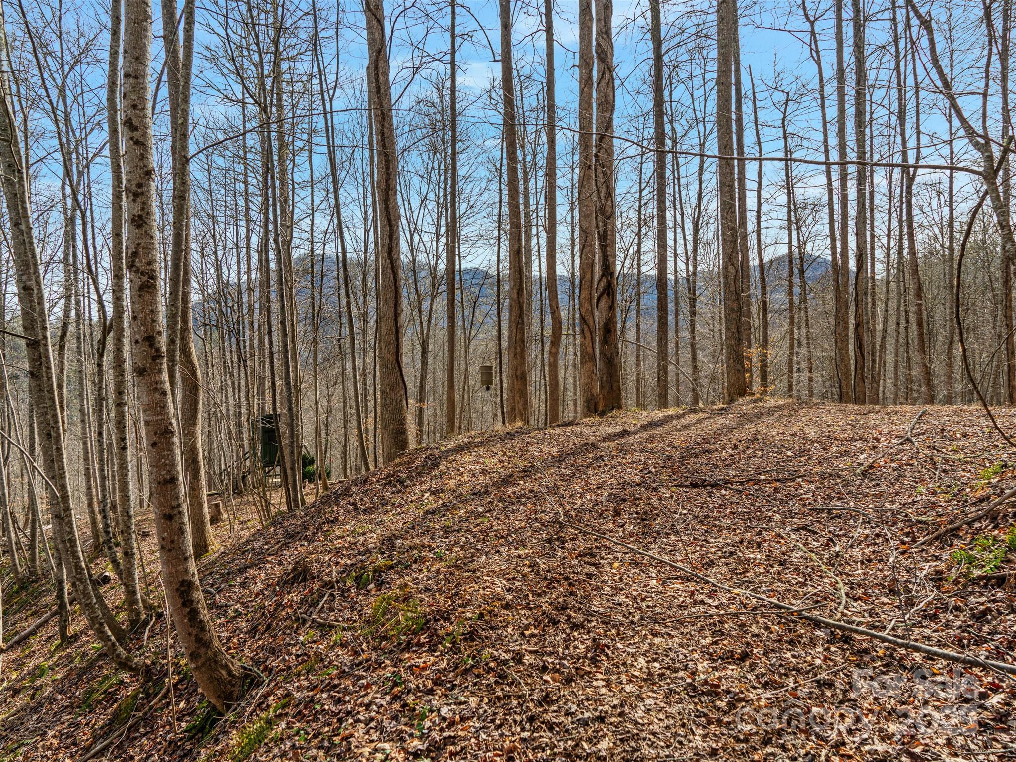 0 Sugarloaf Mountain Estates 3, 21 & 32 Property Photo 17