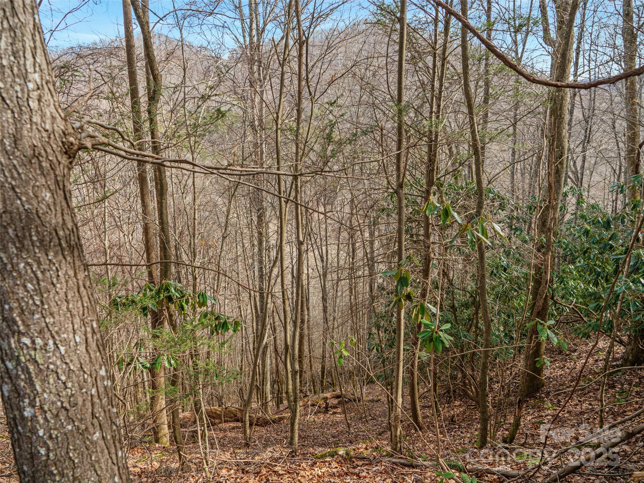 0 Sugarloaf Mountain Estates 3, 21 & 32 Property Photo 29
