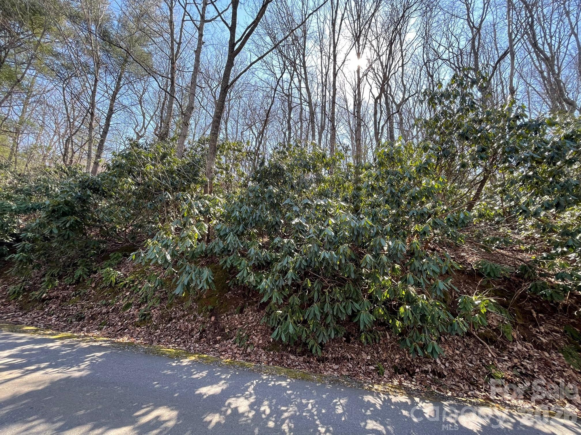 111 Deer Run Lane 40 Property Photo 3