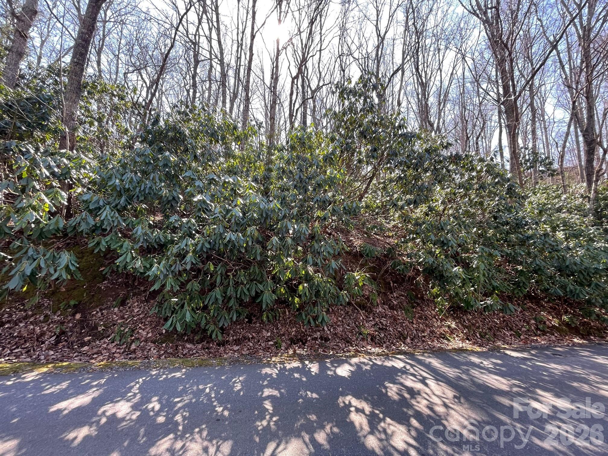 111 Deer Run Lane 40 Property Photo 6