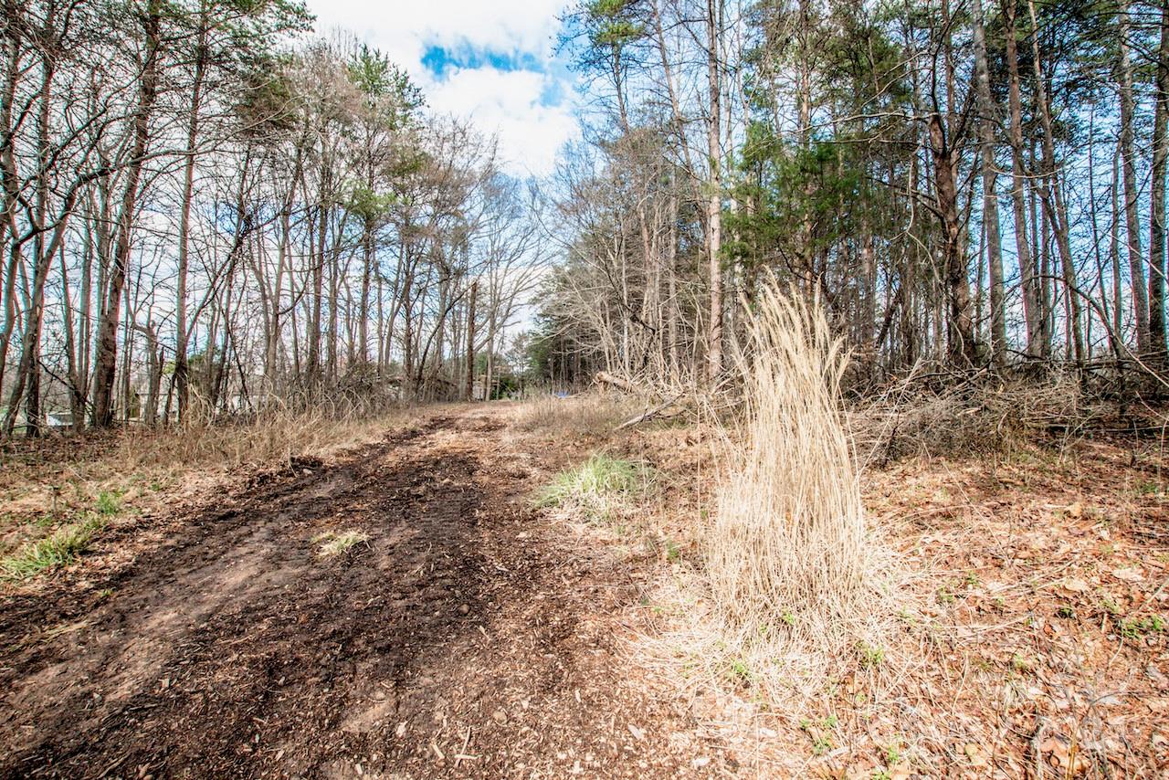 00 Beech Tree Road Property Photo 3