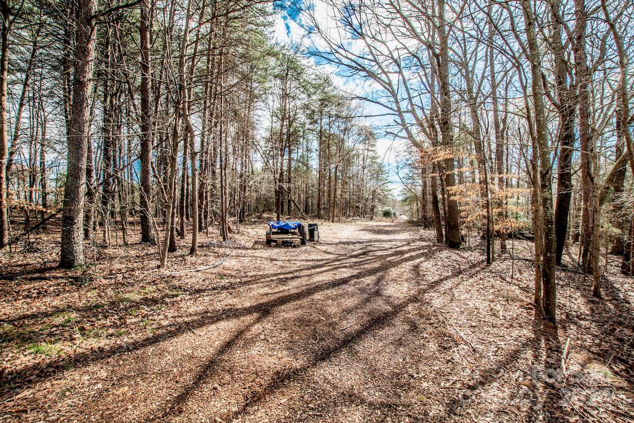 00 Beech Tree Road Property Photo 18