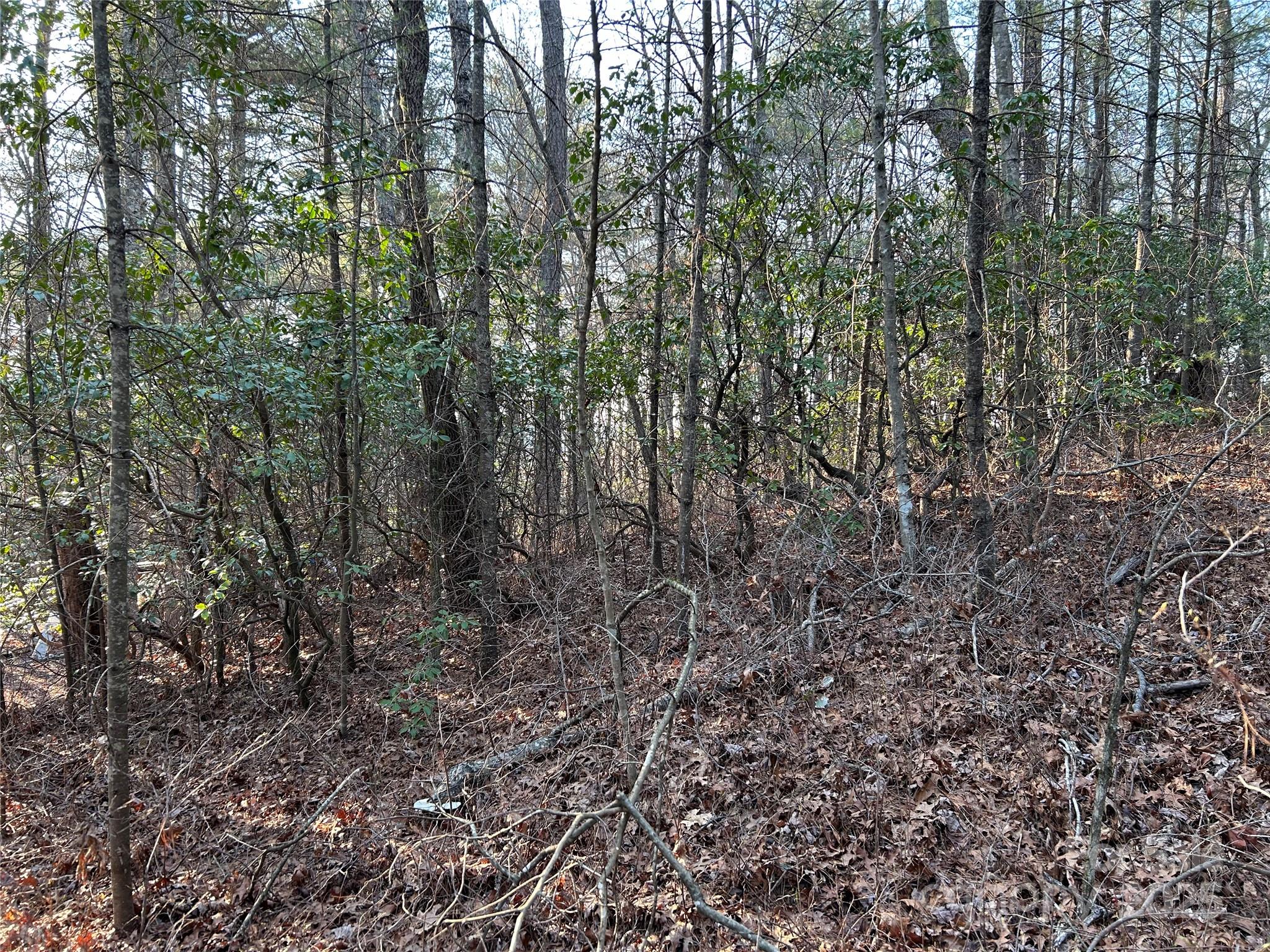 00 Howell Road Property Photo 3
