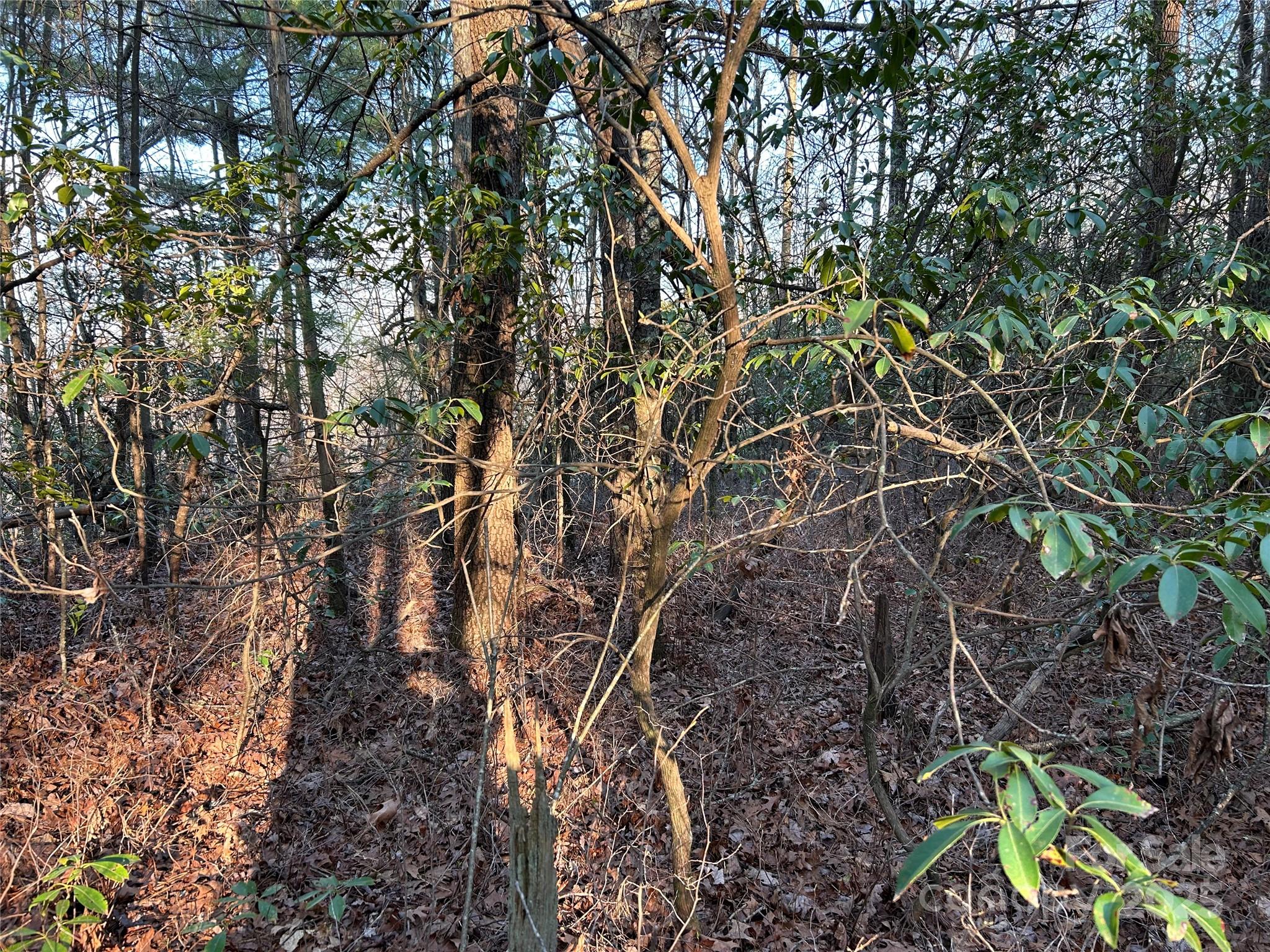 00 Howell Road Property Photo 16