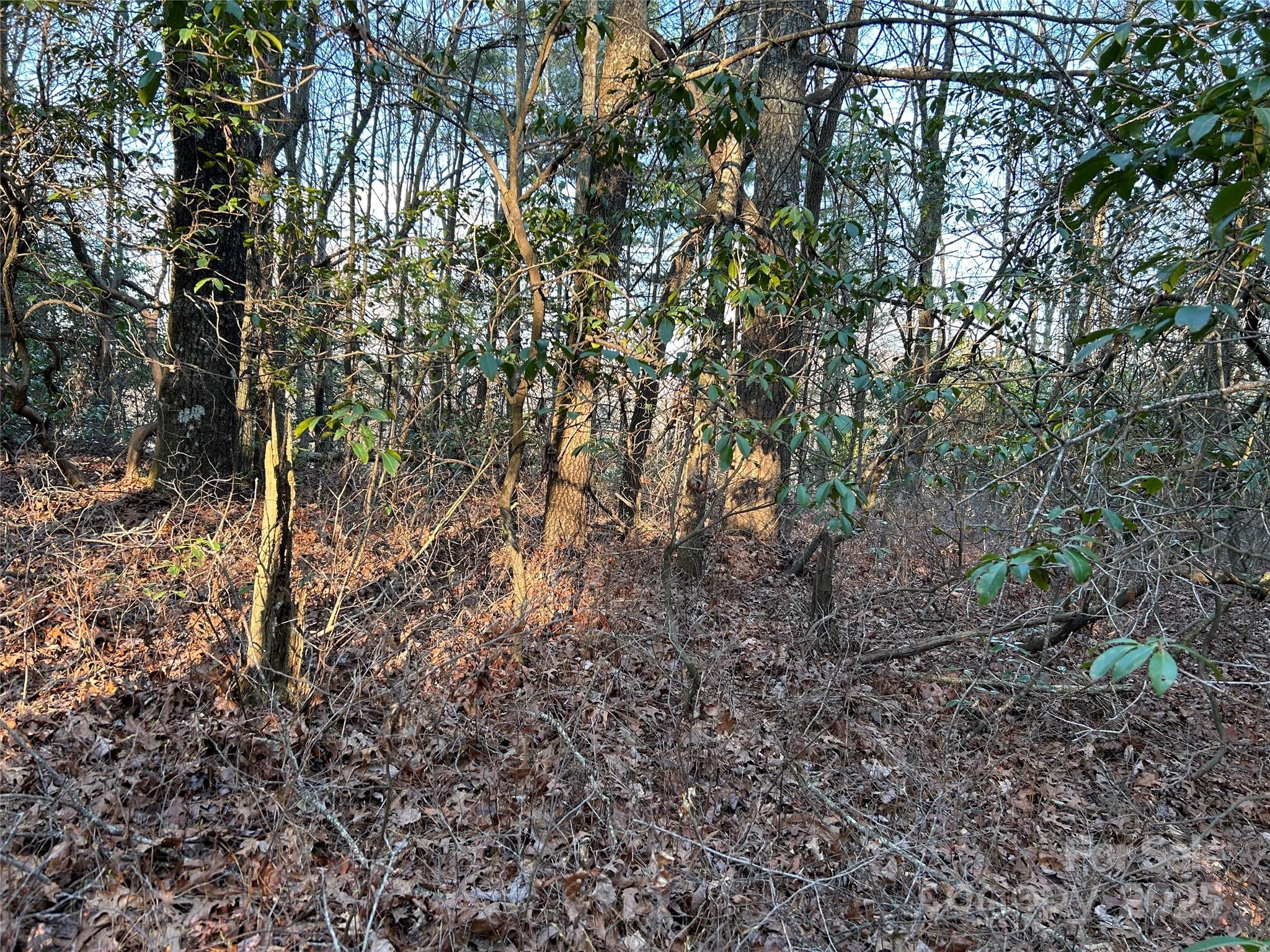 00 Howell Road Property Photo 17
