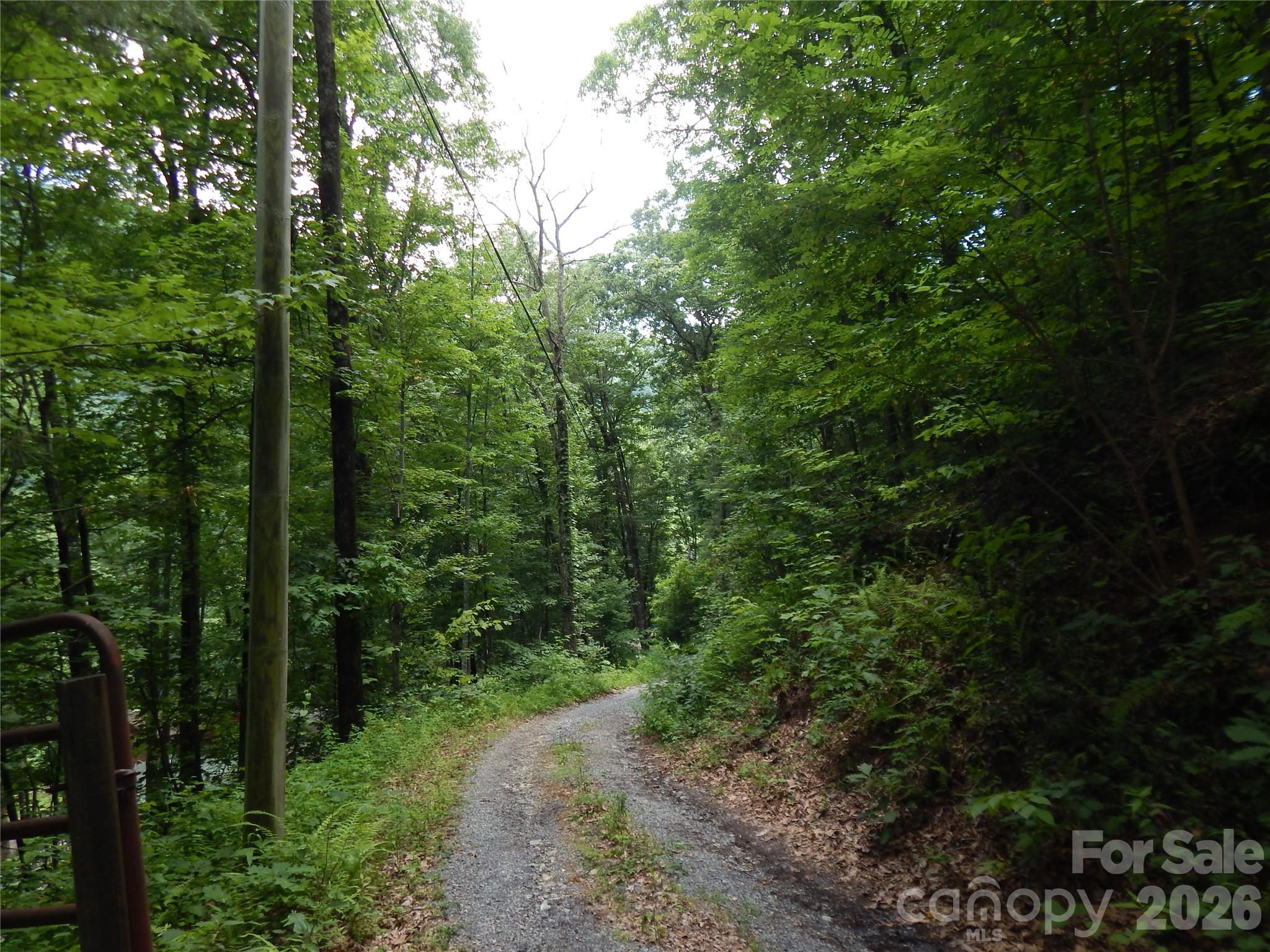 00 Hoot Owl Bill Road Property Photo 1