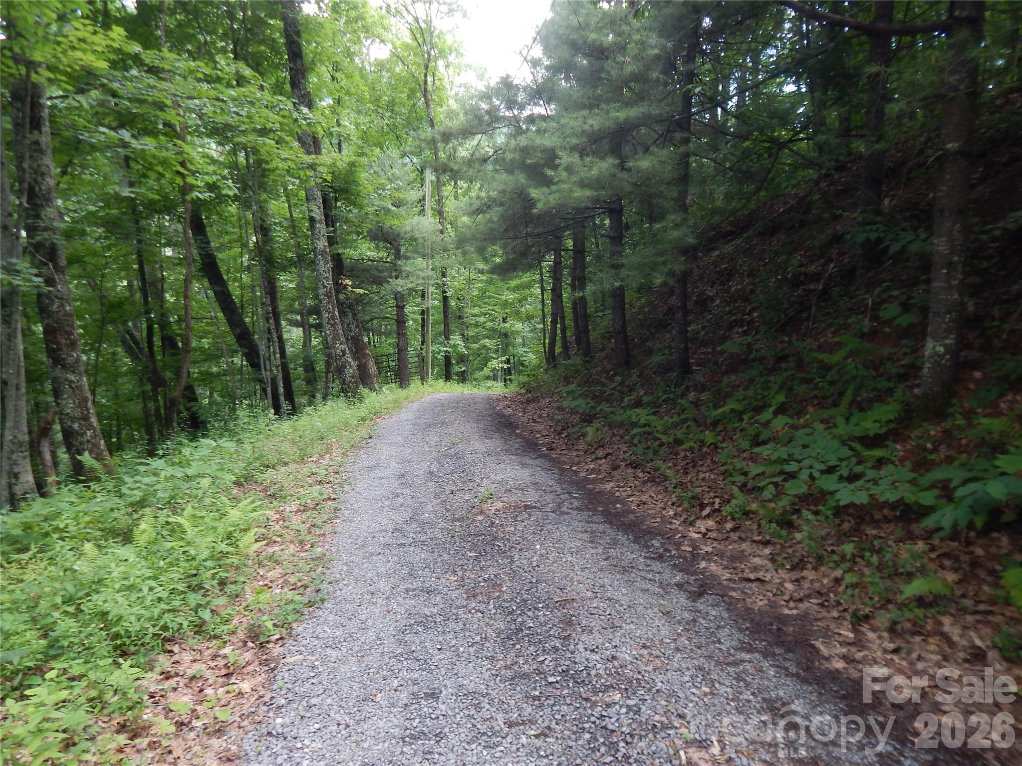 00 Hoot Owl Bill Road Property Photo 4