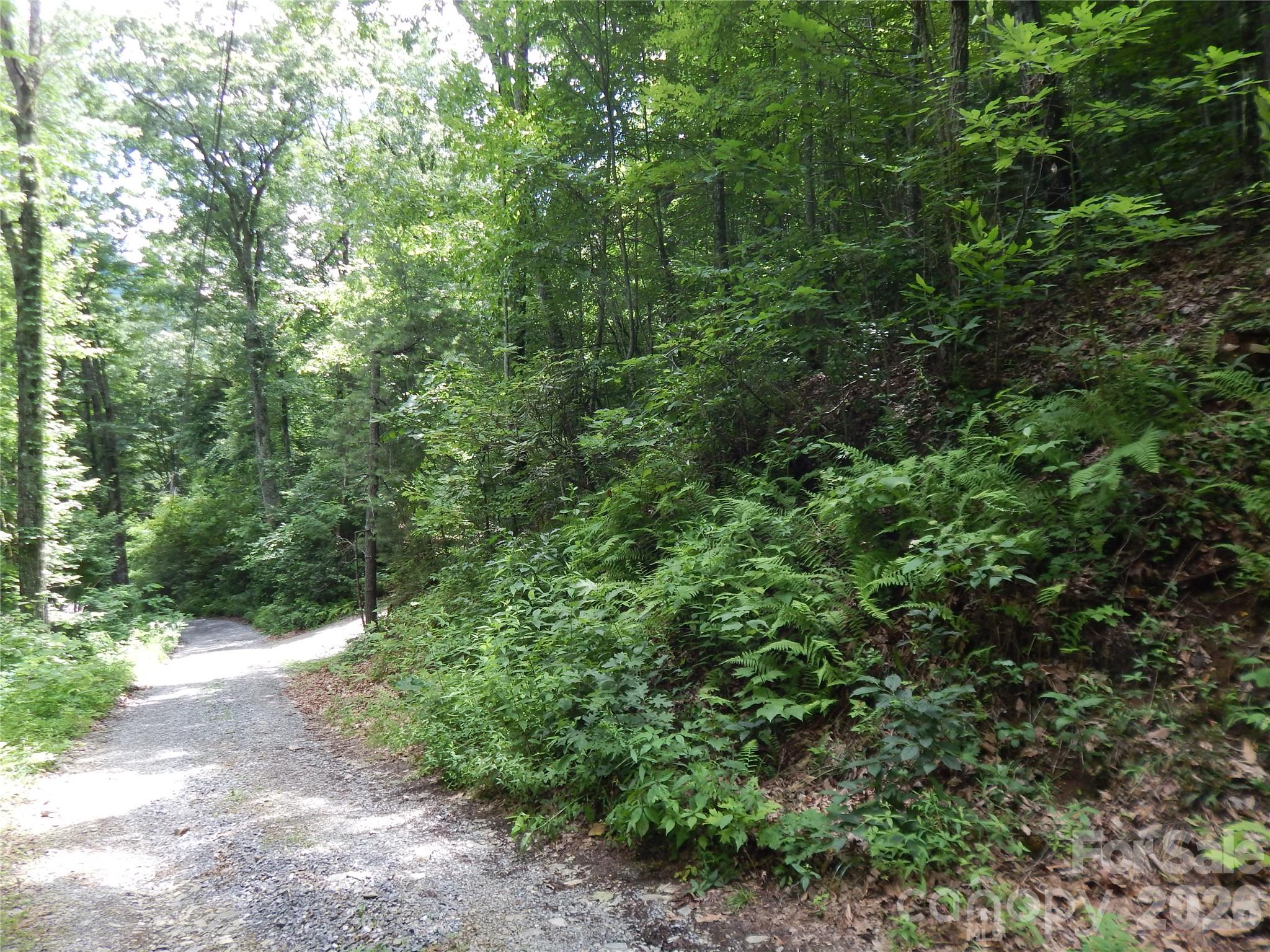 00 Hoot Owl Bill Road Property Photo 6