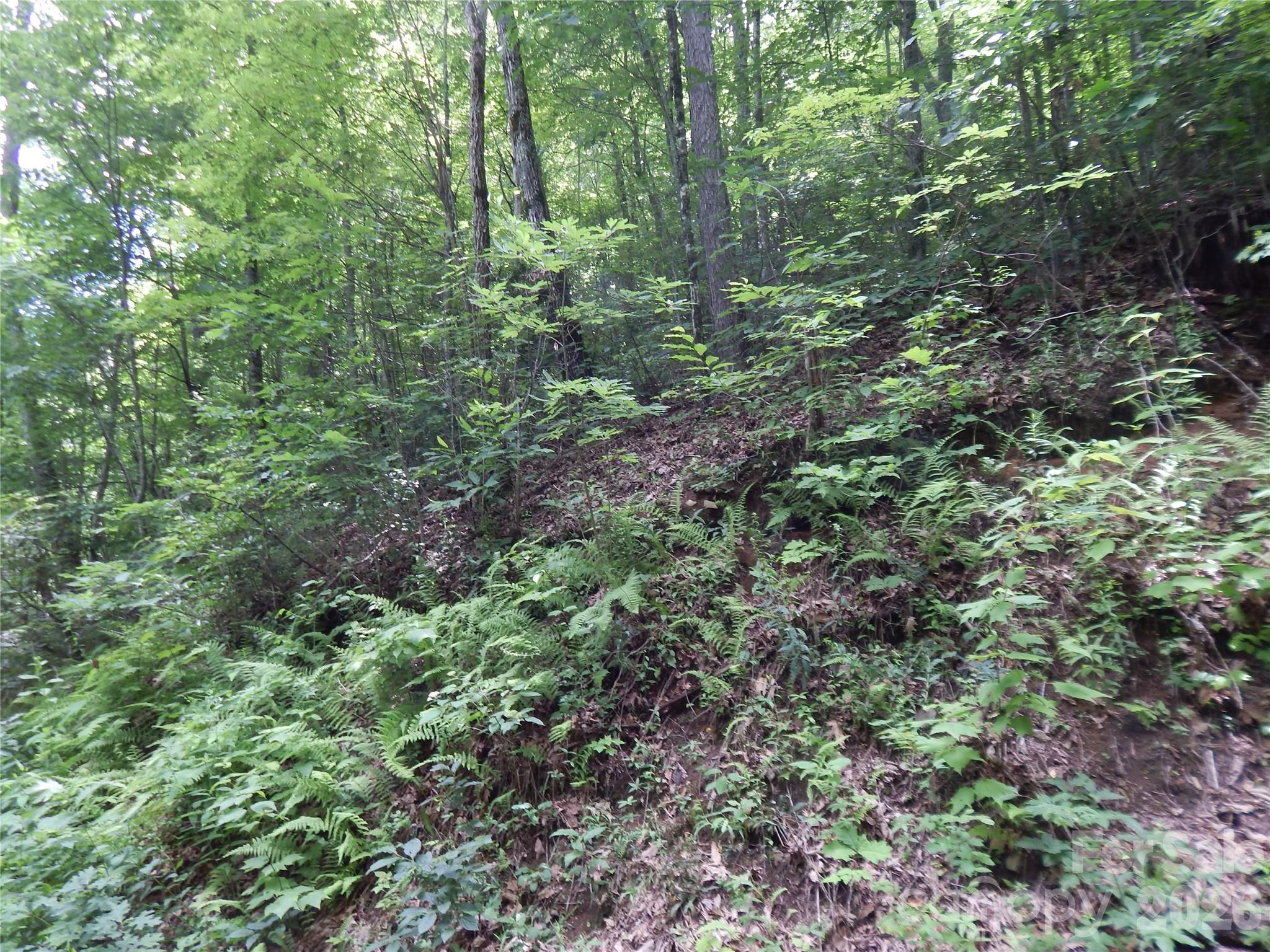 00 Hoot Owl Bill Road Property Photo 8
