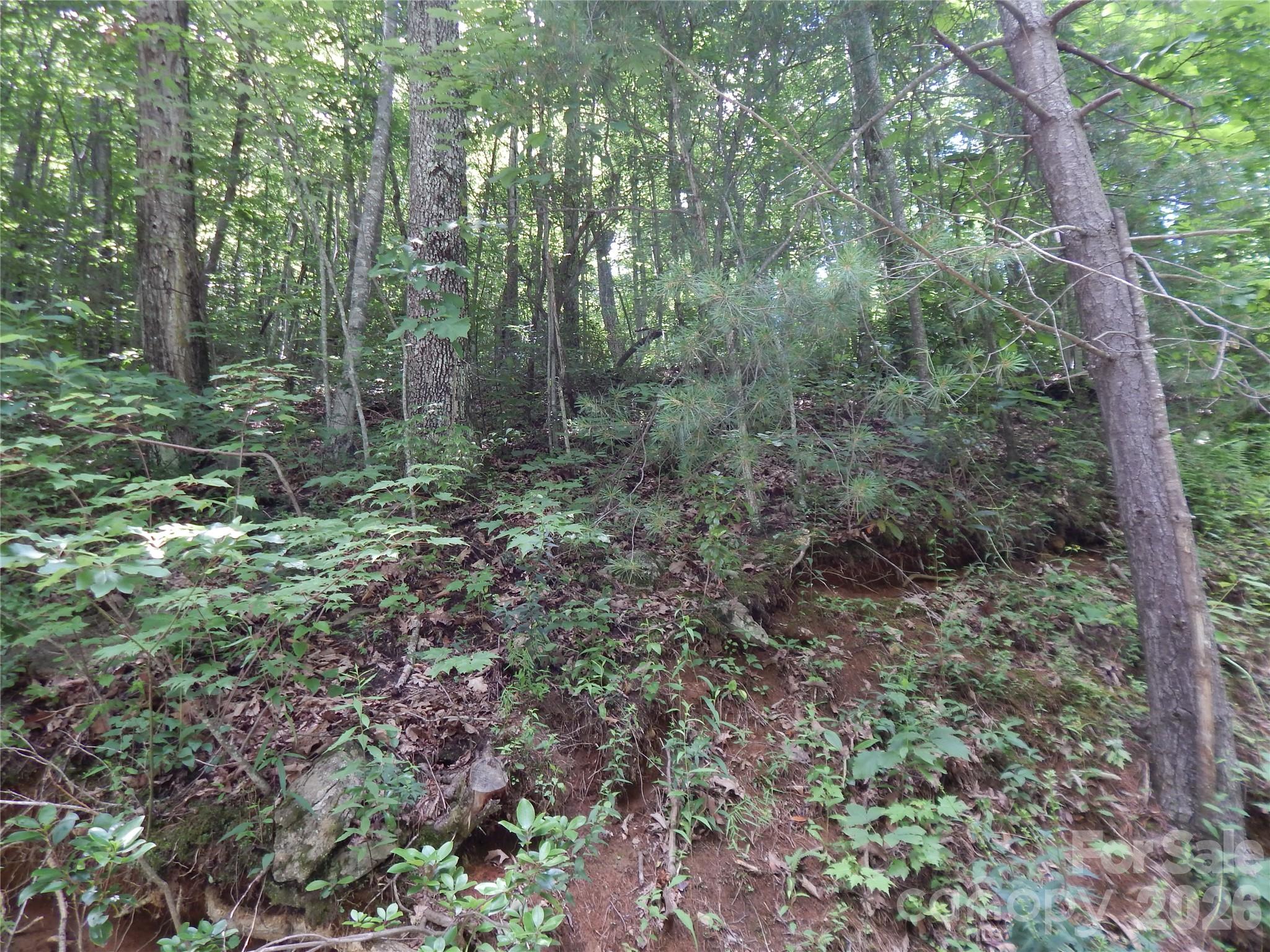 00 Hoot Owl Bill Road Property Photo 10