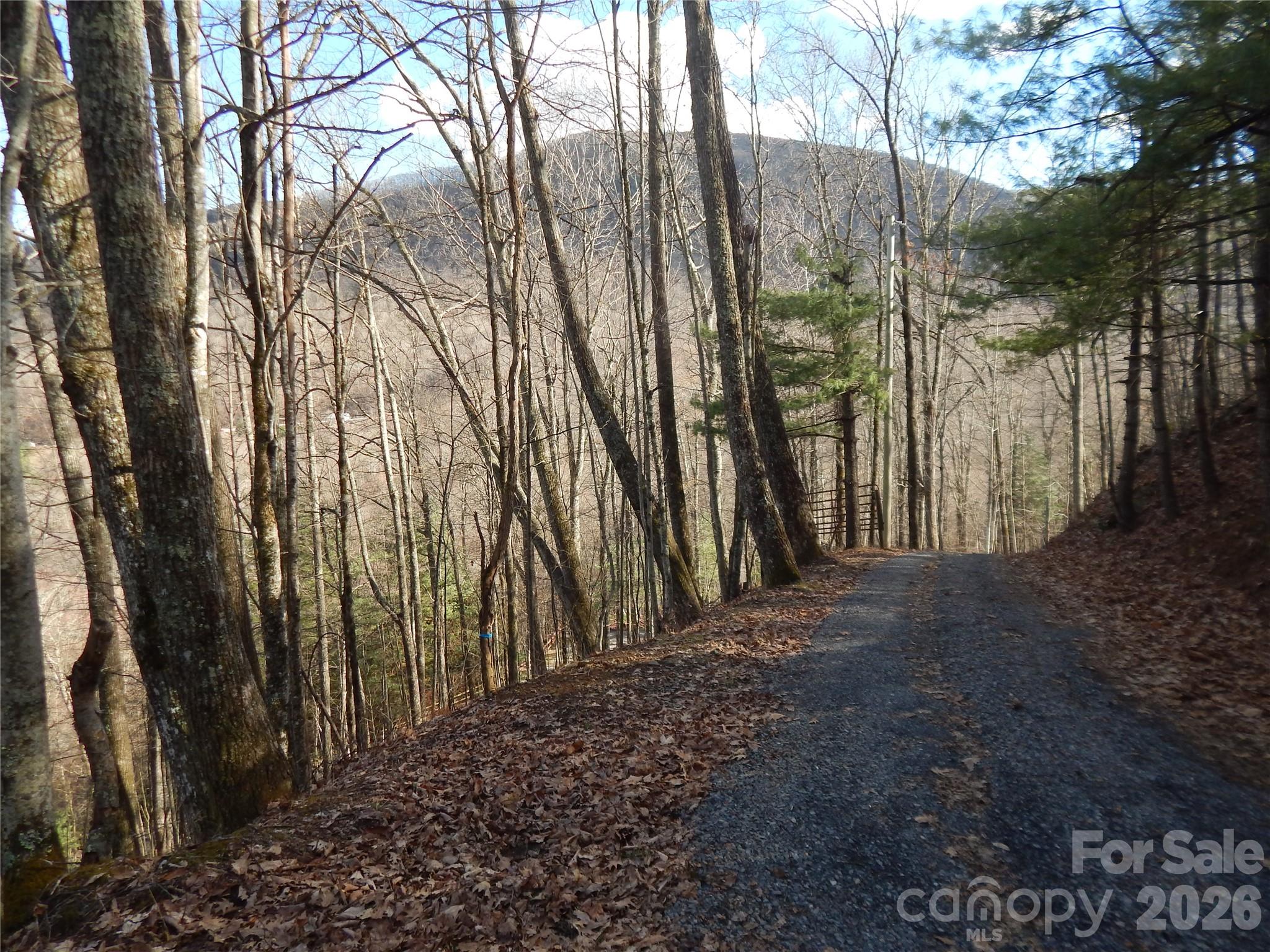 00 Hoot Owl Bill Road Property Photo 12