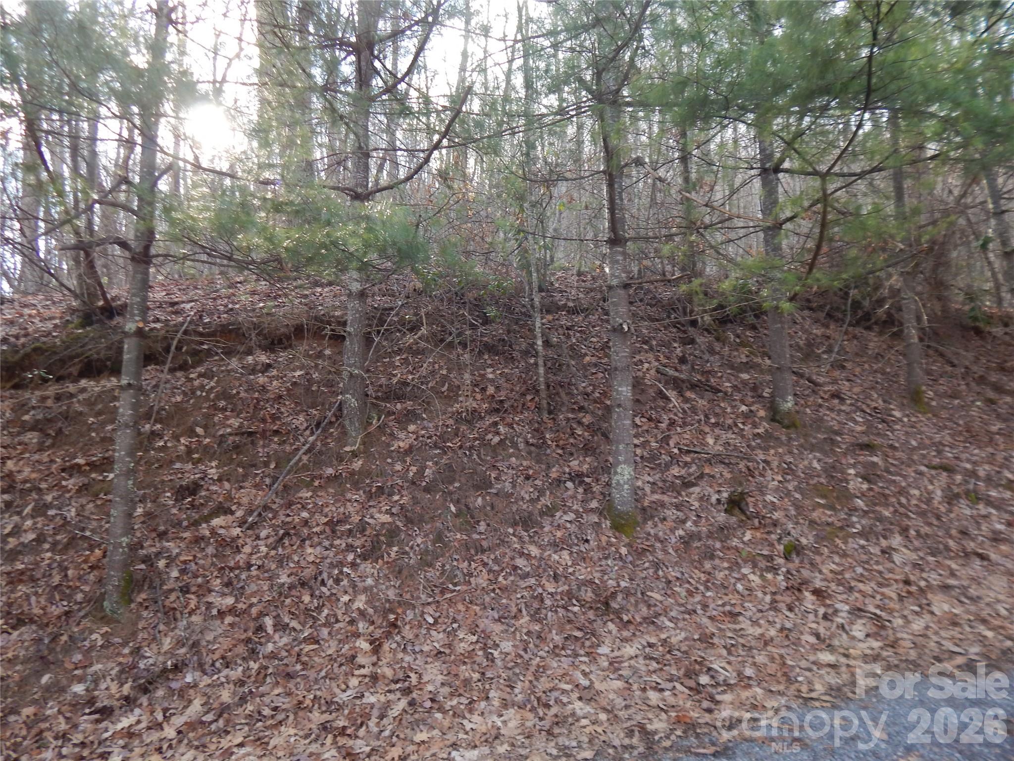 00 Hoot Owl Bill Road Property Photo 13
