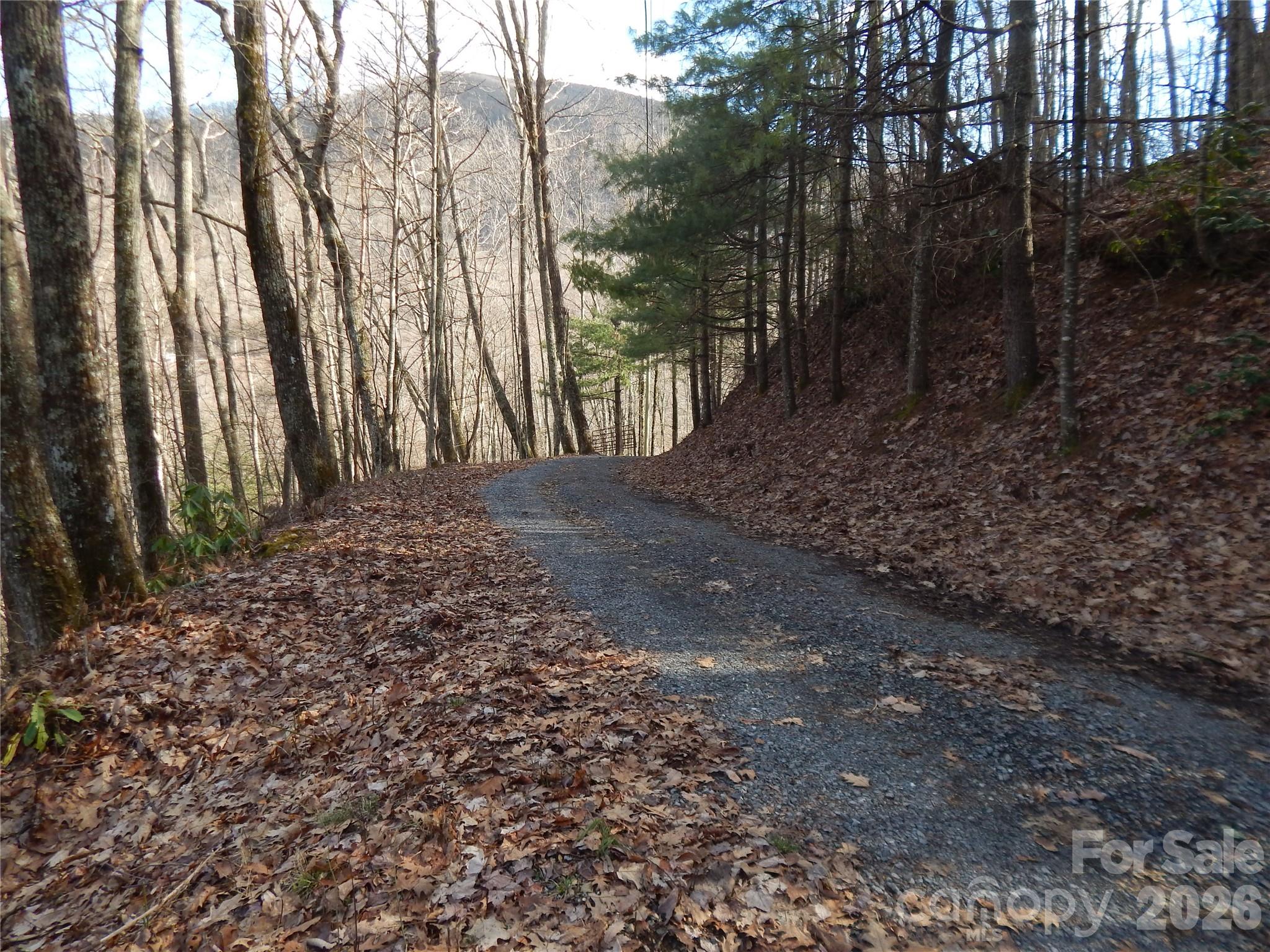 00 Hoot Owl Bill Road Property Photo 15