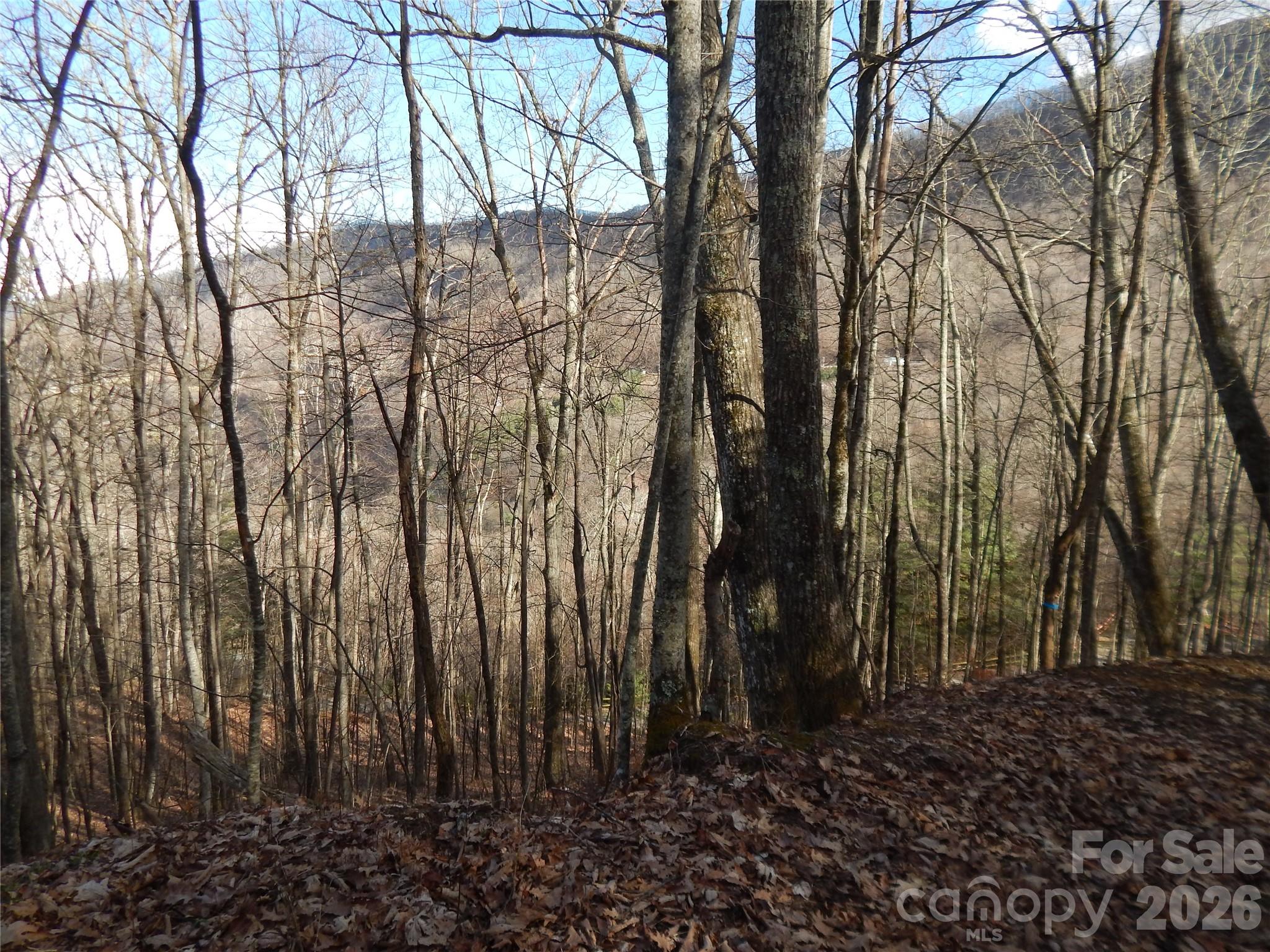 00 Hoot Owl Bill Road Property Photo 17