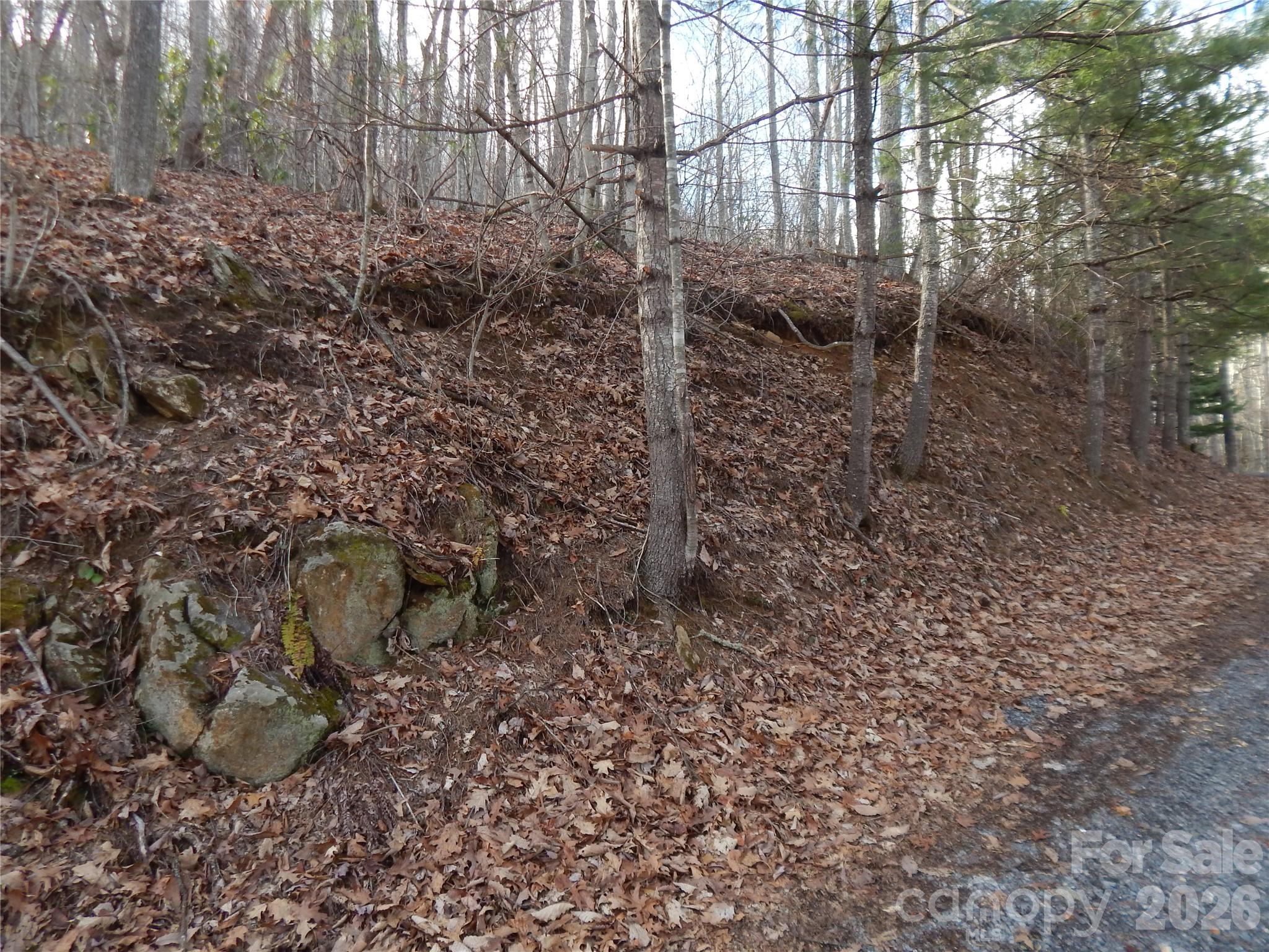 00 Hoot Owl Bill Road Property Photo 21