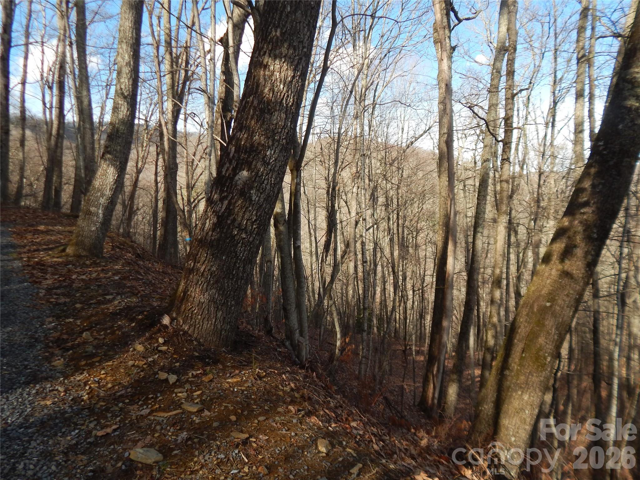 00 Hoot Owl Bill Road Property Photo 23