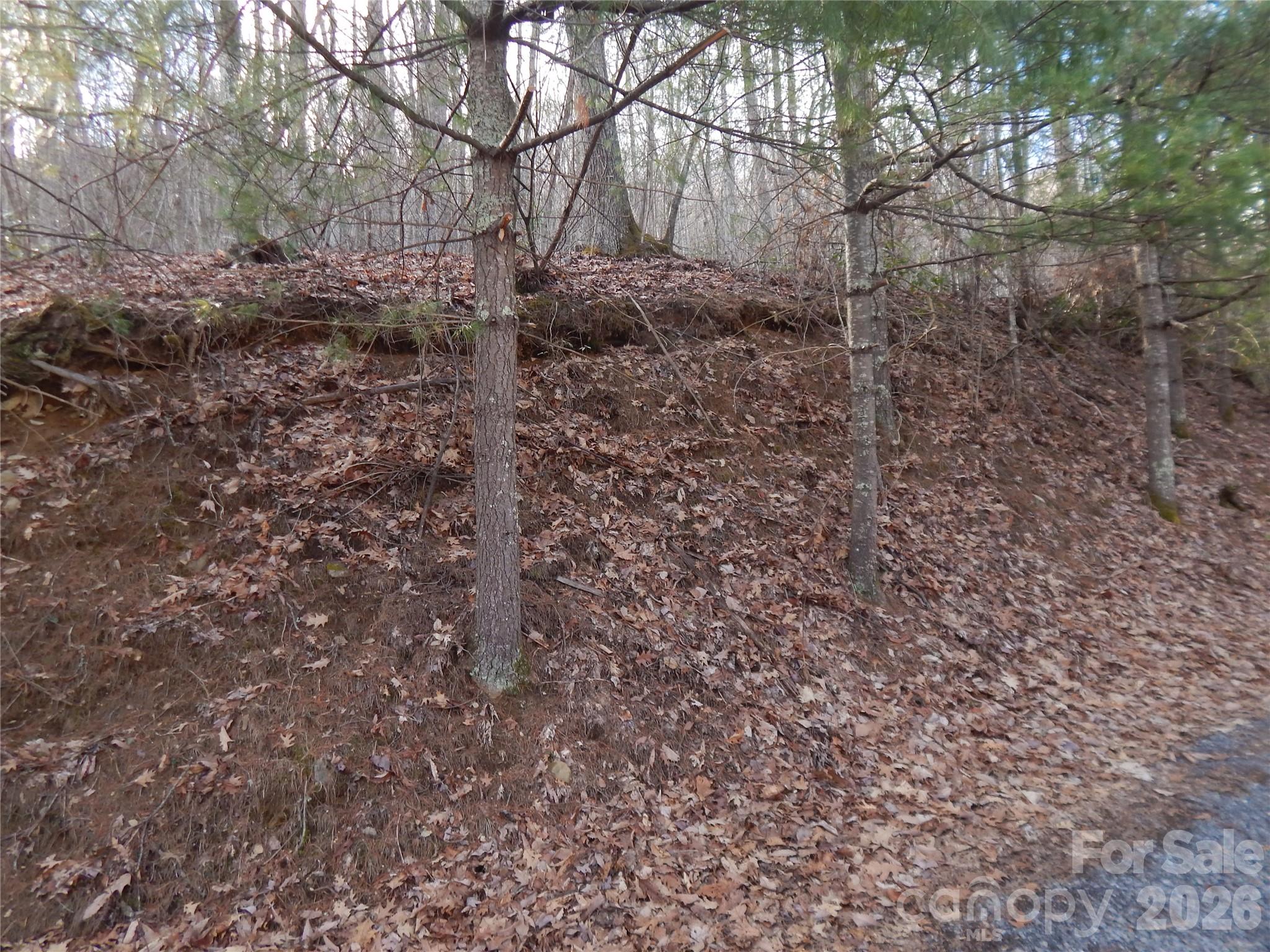 00 Hoot Owl Bill Road Property Photo 25