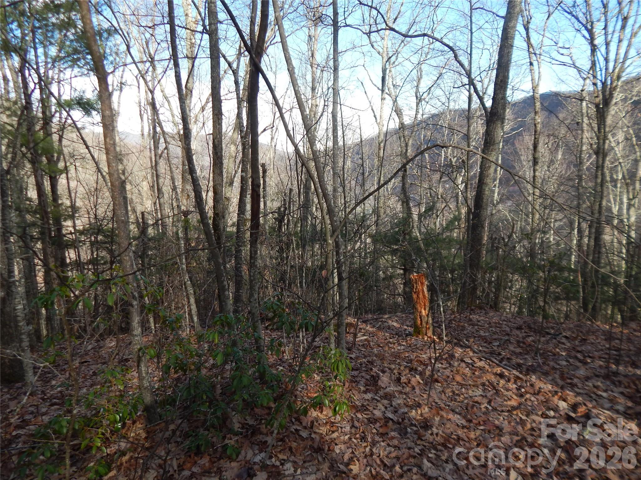 00 Hoot Owl Bill Road Property Photo 26