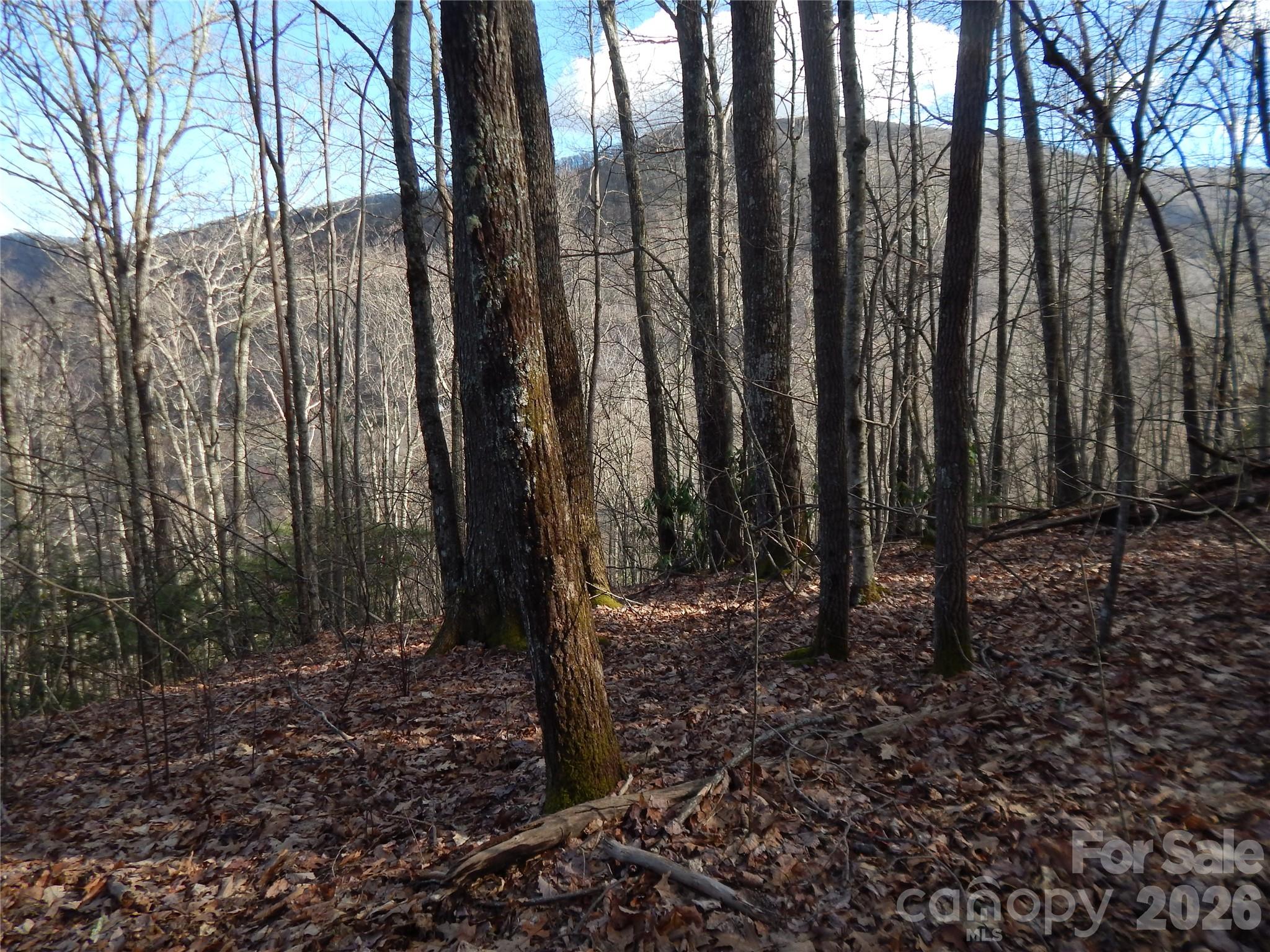 00 Hoot Owl Bill Road Property Photo 27