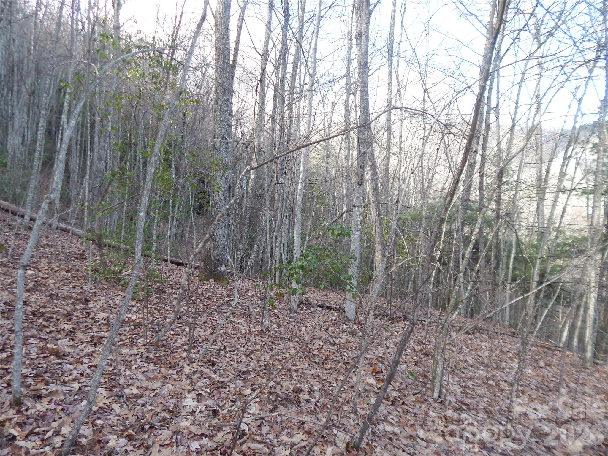 00 Hoot Owl Bill Road Property Photo 31