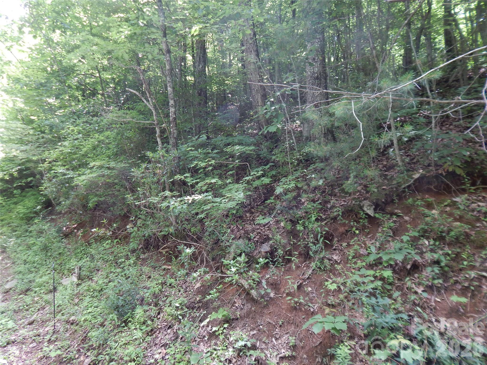 00 Hoot Owl Bill Road Property Photo 37