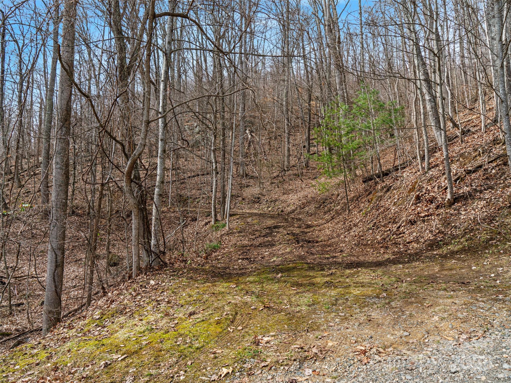 00 Mountain View Estates Property Photo 5