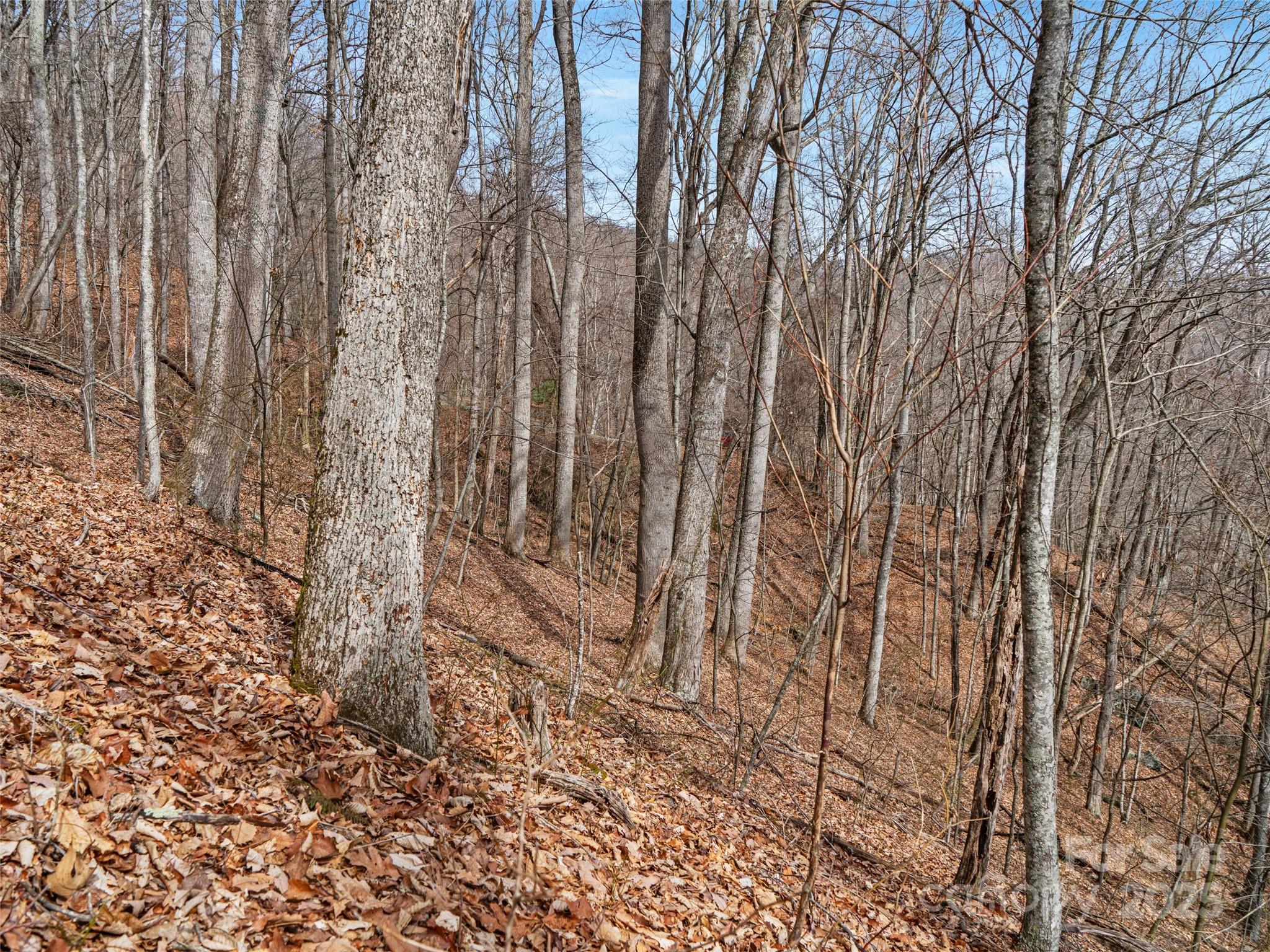 00 Mountain View Estates Property Photo 10