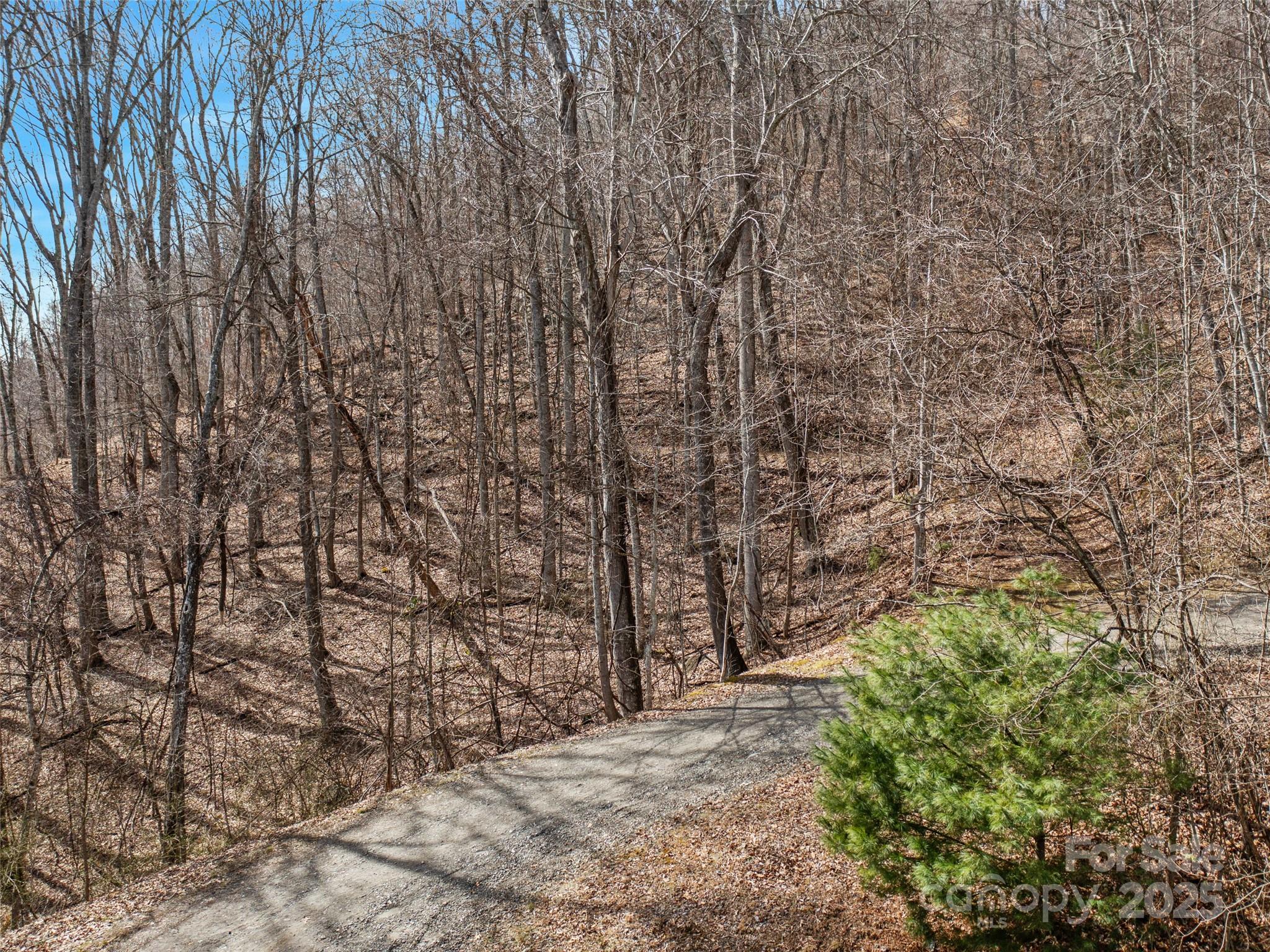00 Mountain View Estates Property Photo 18