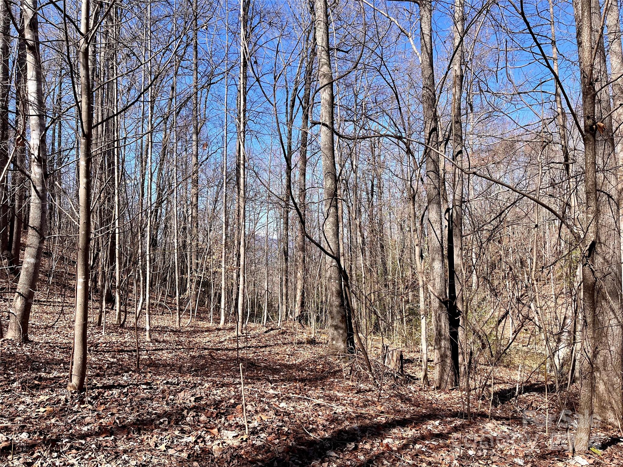 Lot 147 Big View Drive Property Photo 3