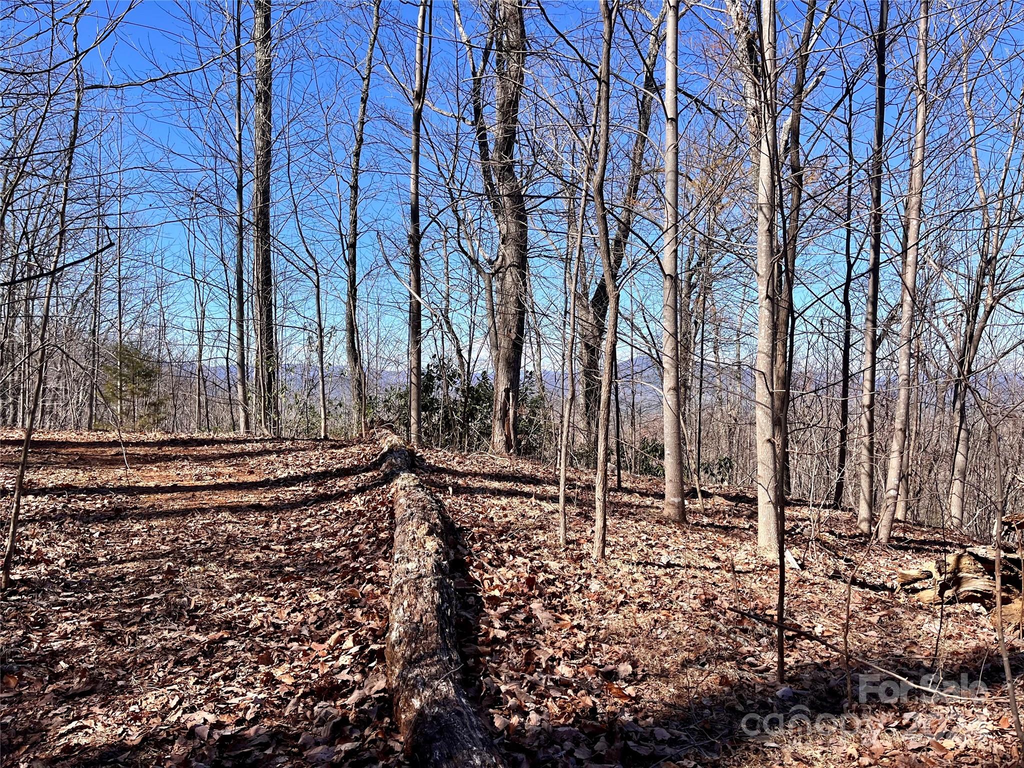 Lot 147 Big View Drive Property Photo 4