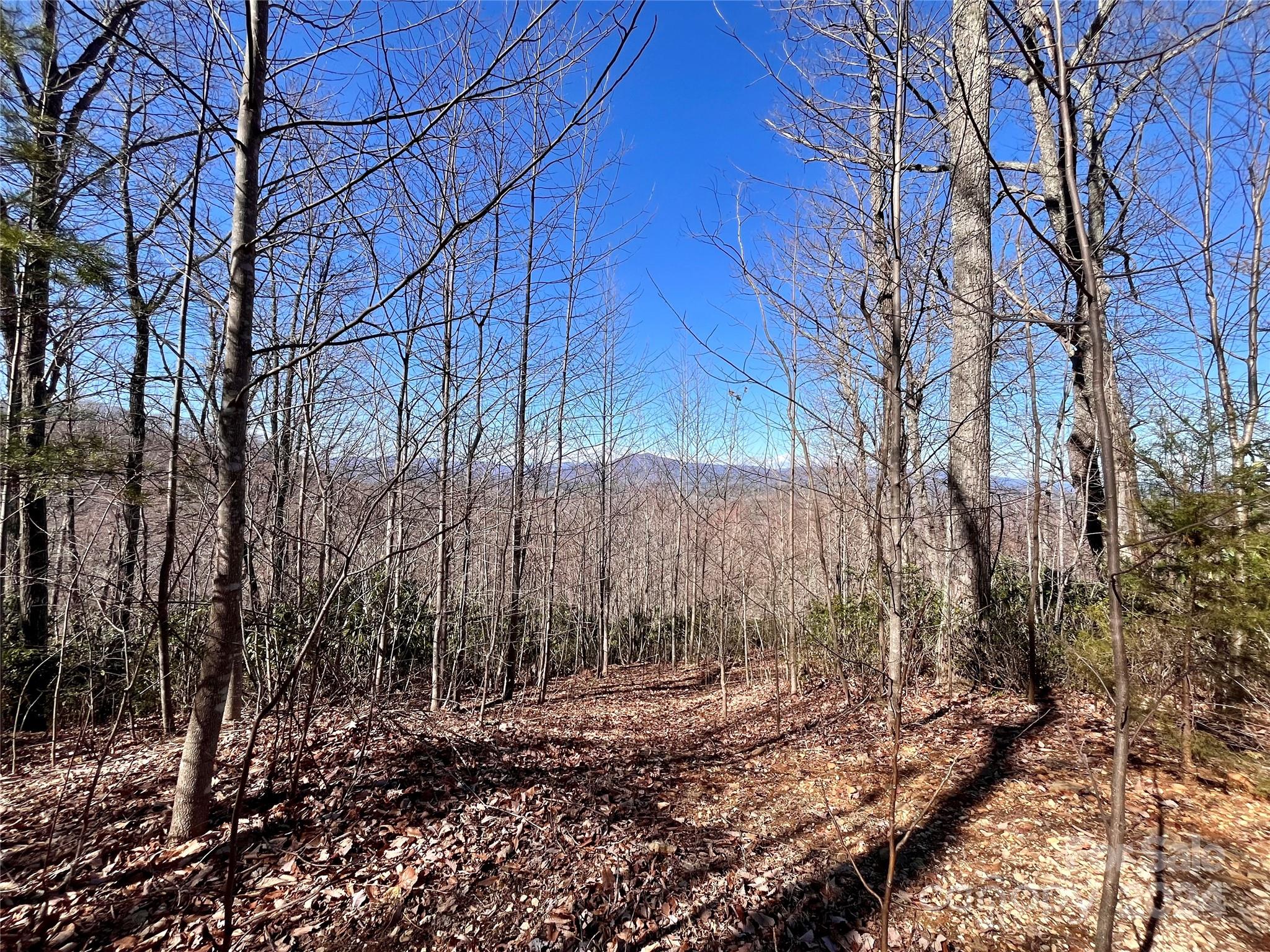 Lot 147 Big View Drive Property Photo 6