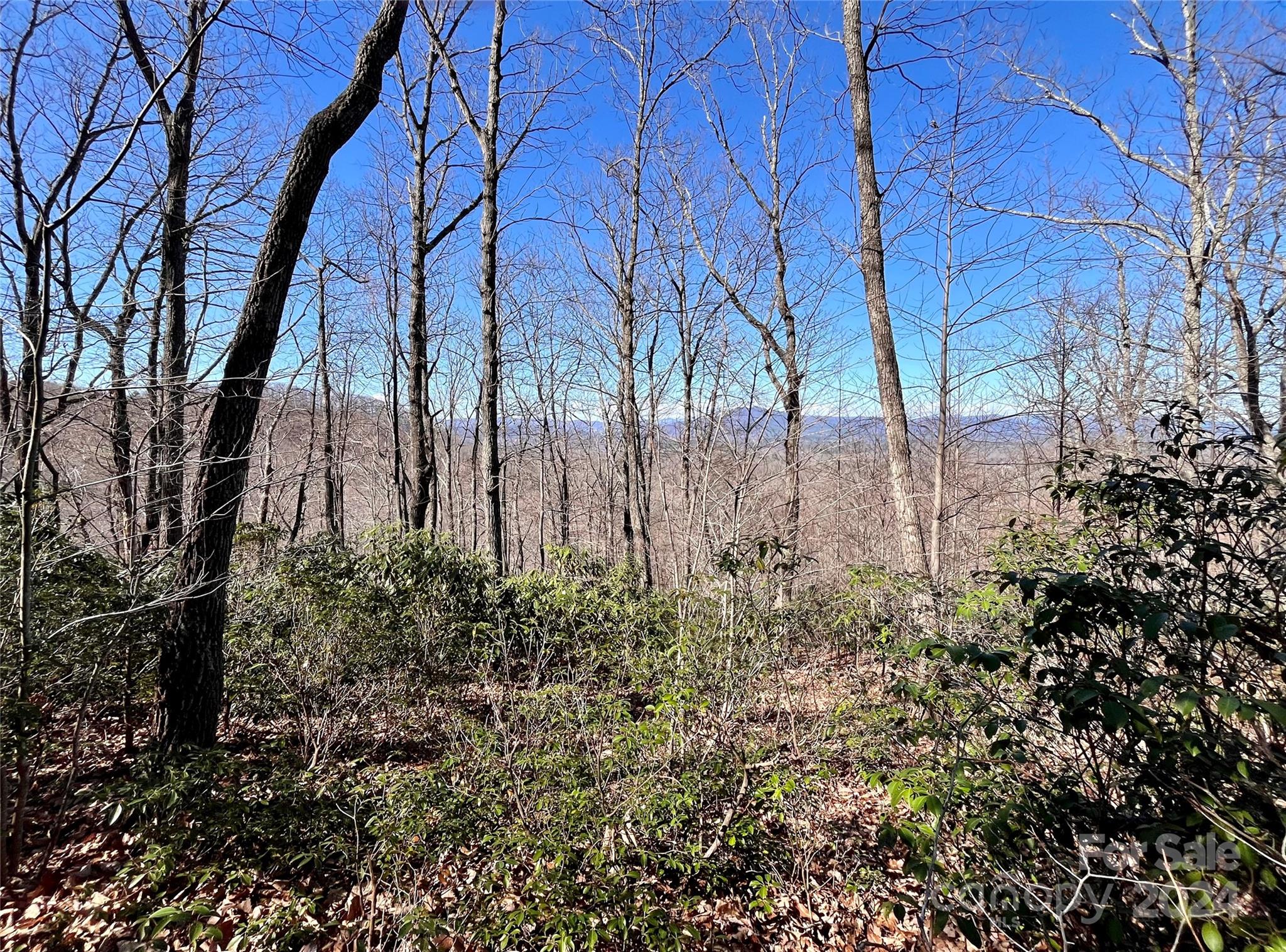 Lot 147 Big View Drive Property Photo 8