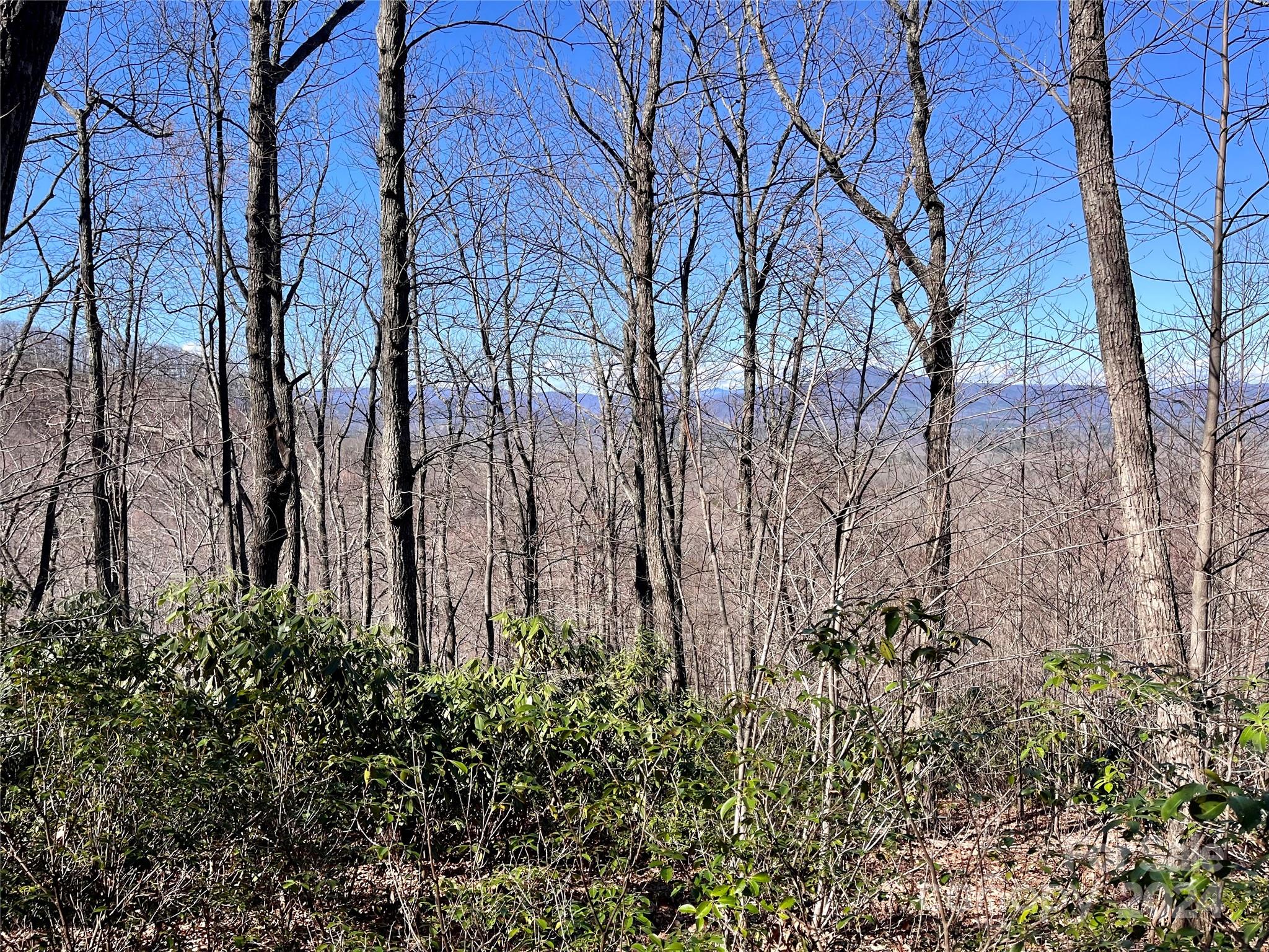 Lot 147 Big View Drive Property Photo 9