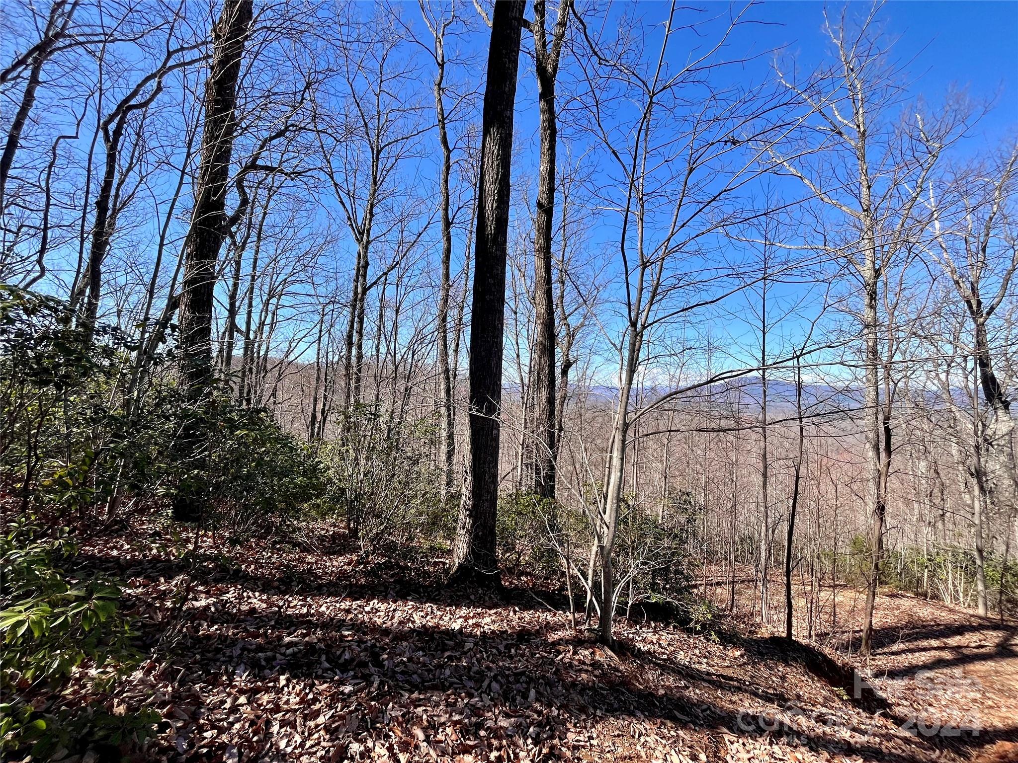 Lot 147 Big View Drive Property Photo 10