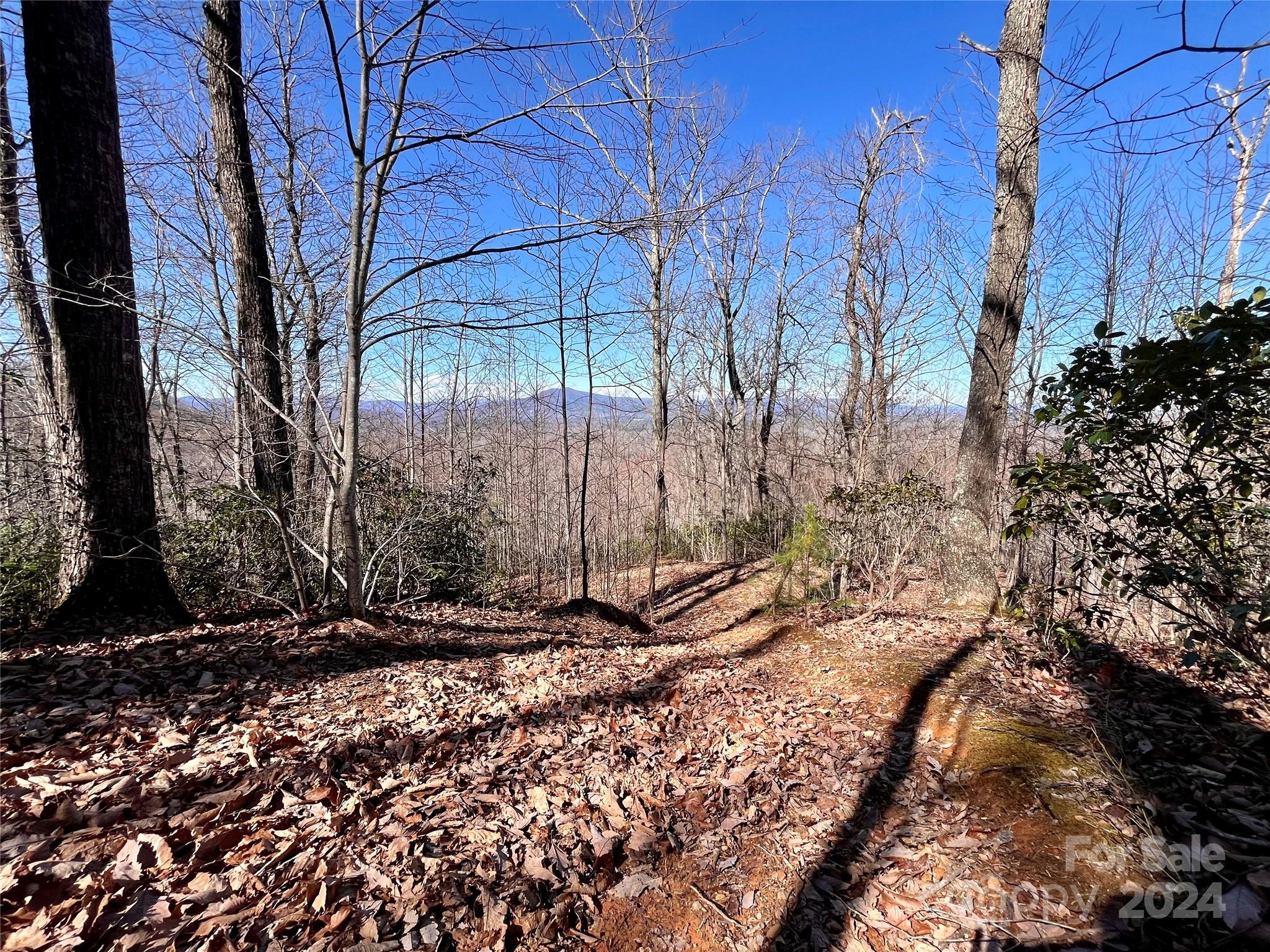 Lot 147 Big View Drive Property Photo 11